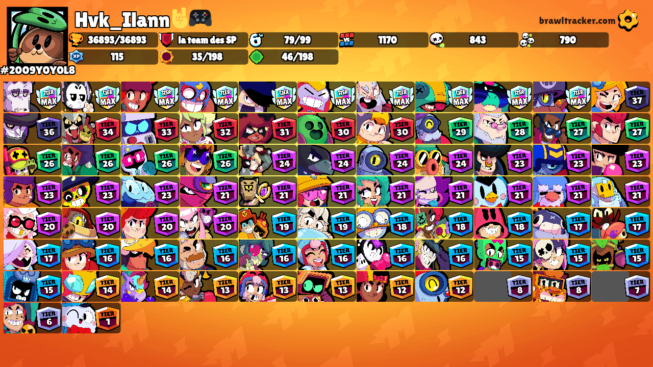 Hvk_Ilann🤘🎮's Ranks