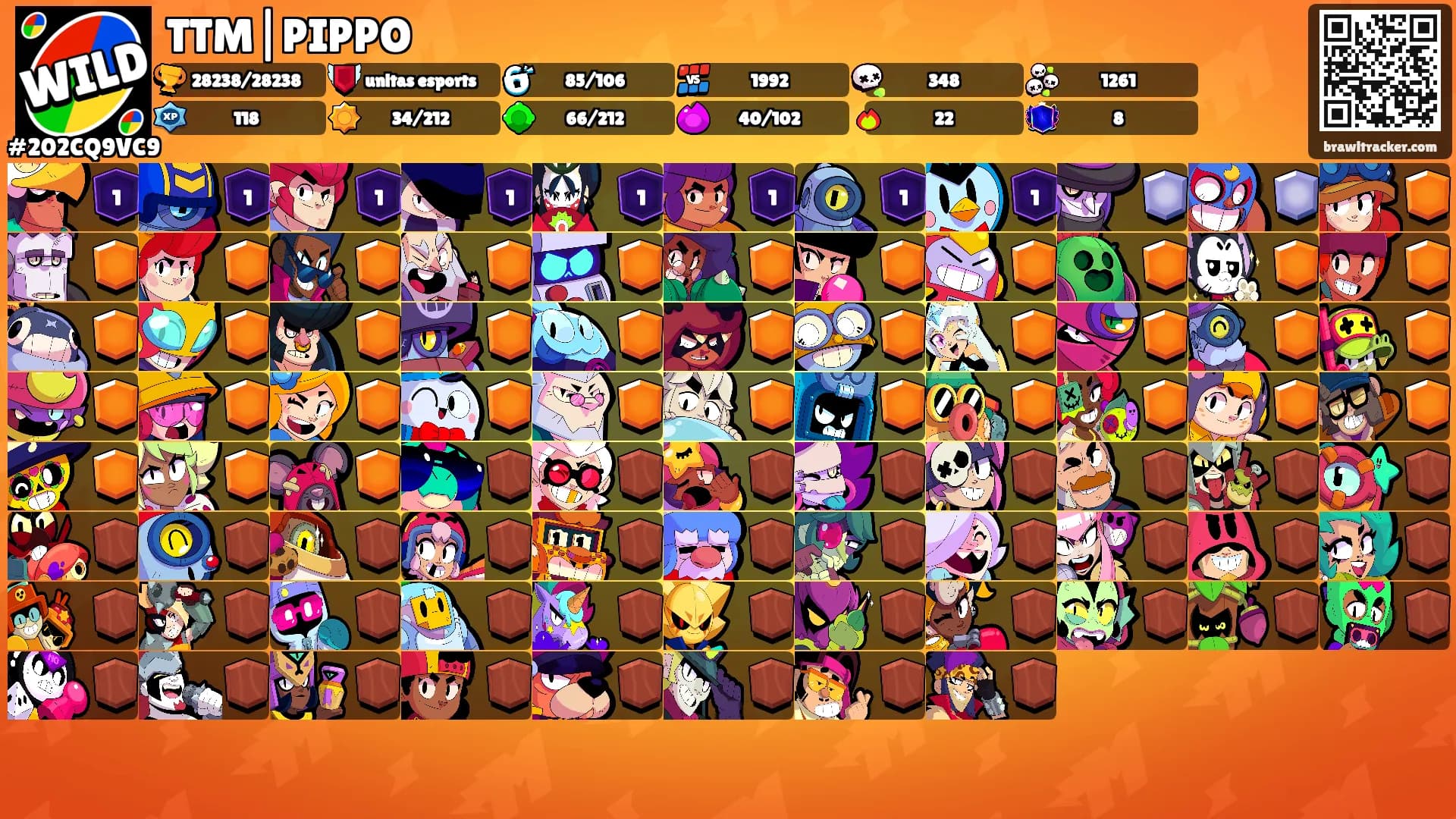 TTM|PIPPO's Ranks
