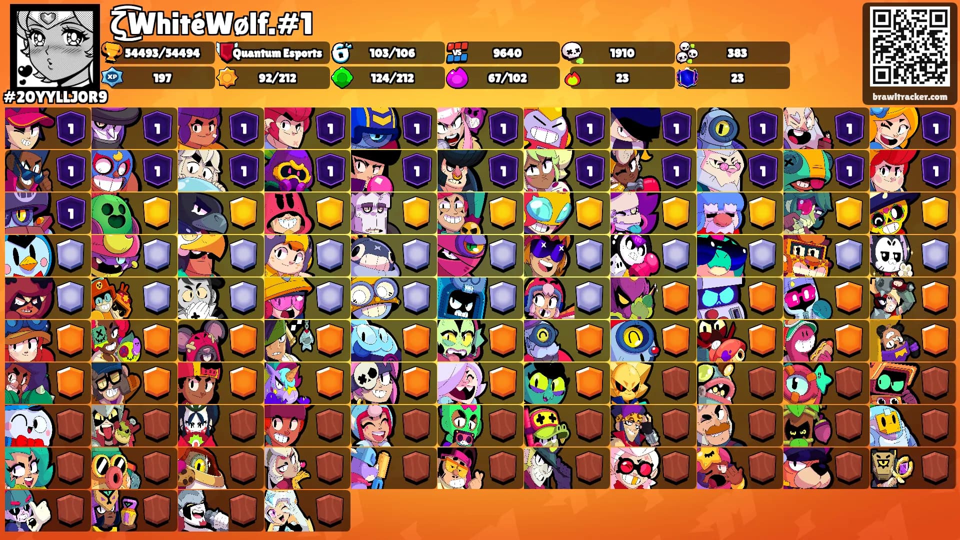ζ͜͡WhitéWølf.#1's Ranks