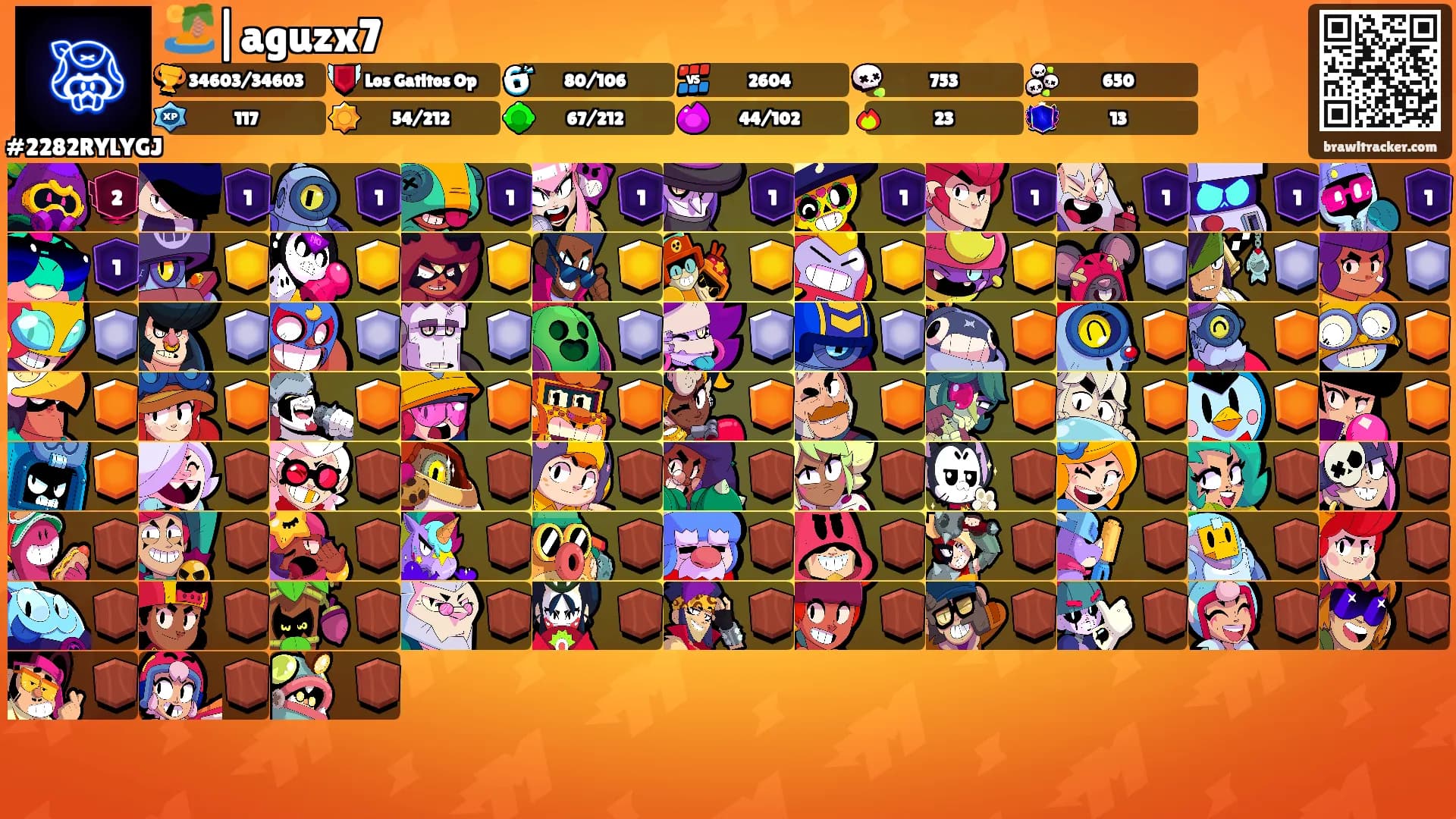 🏝️|aguzx7's Ranks
