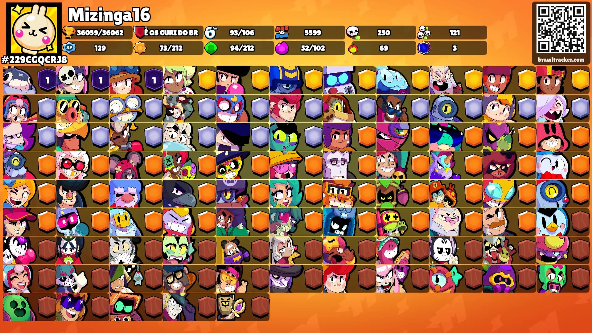 Mizinga16's Ranks