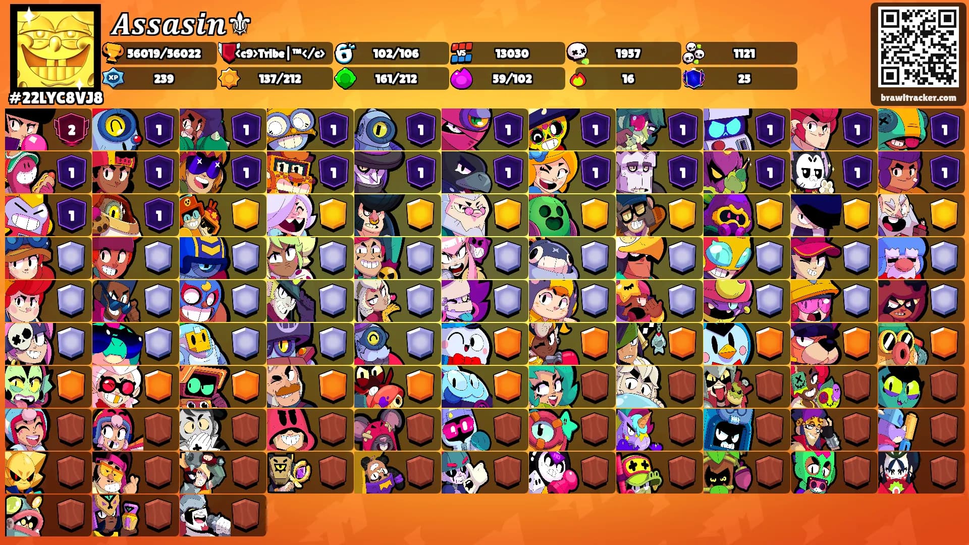 𝑨𝒔𝒔𝒂𝒔𝒊𝒏⚜'s Ranks