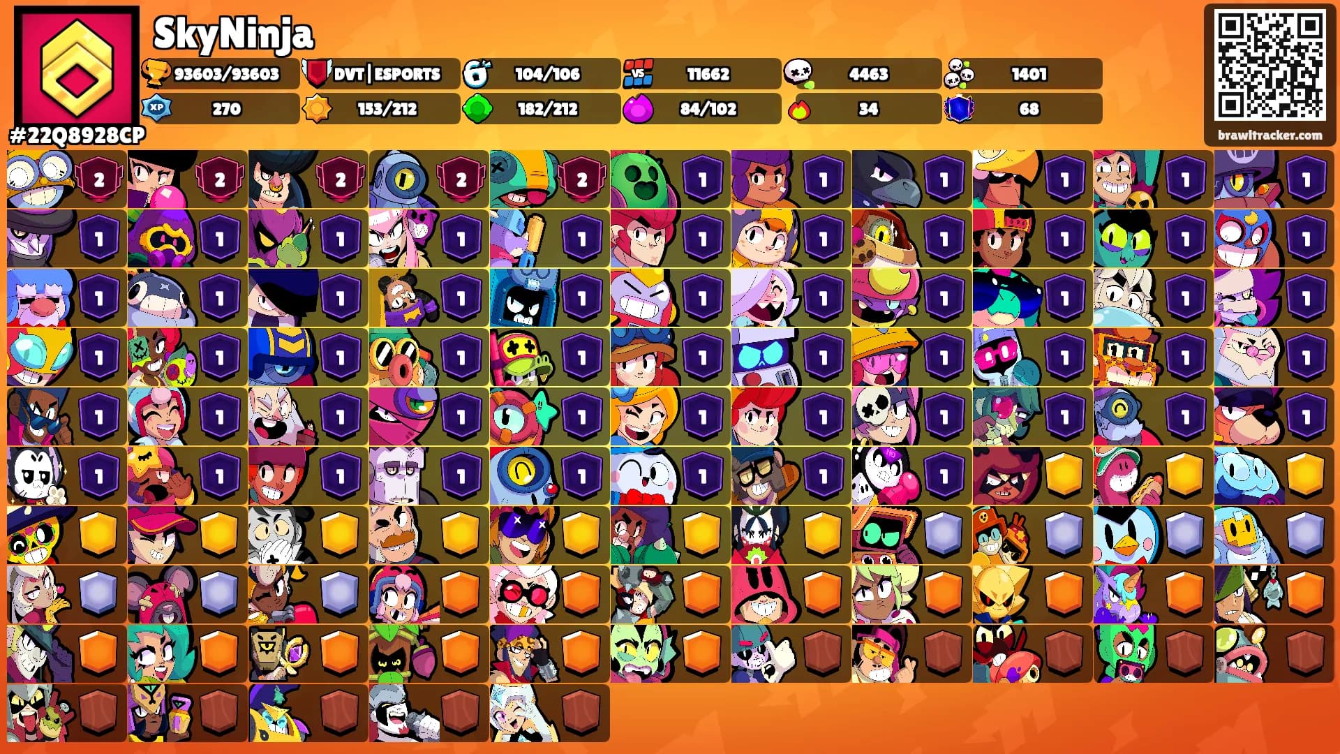SkyNinja's Ranks
