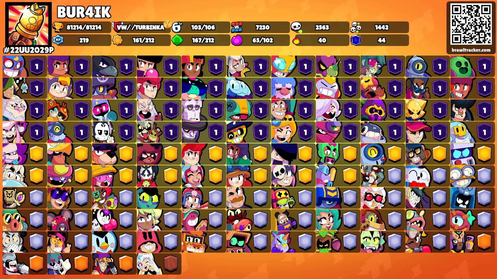 BUR4IK's Ranks
