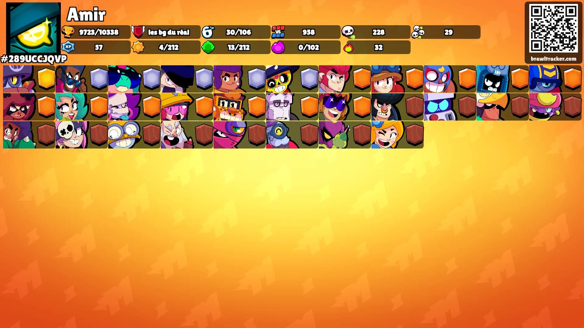 Amir's Ranks