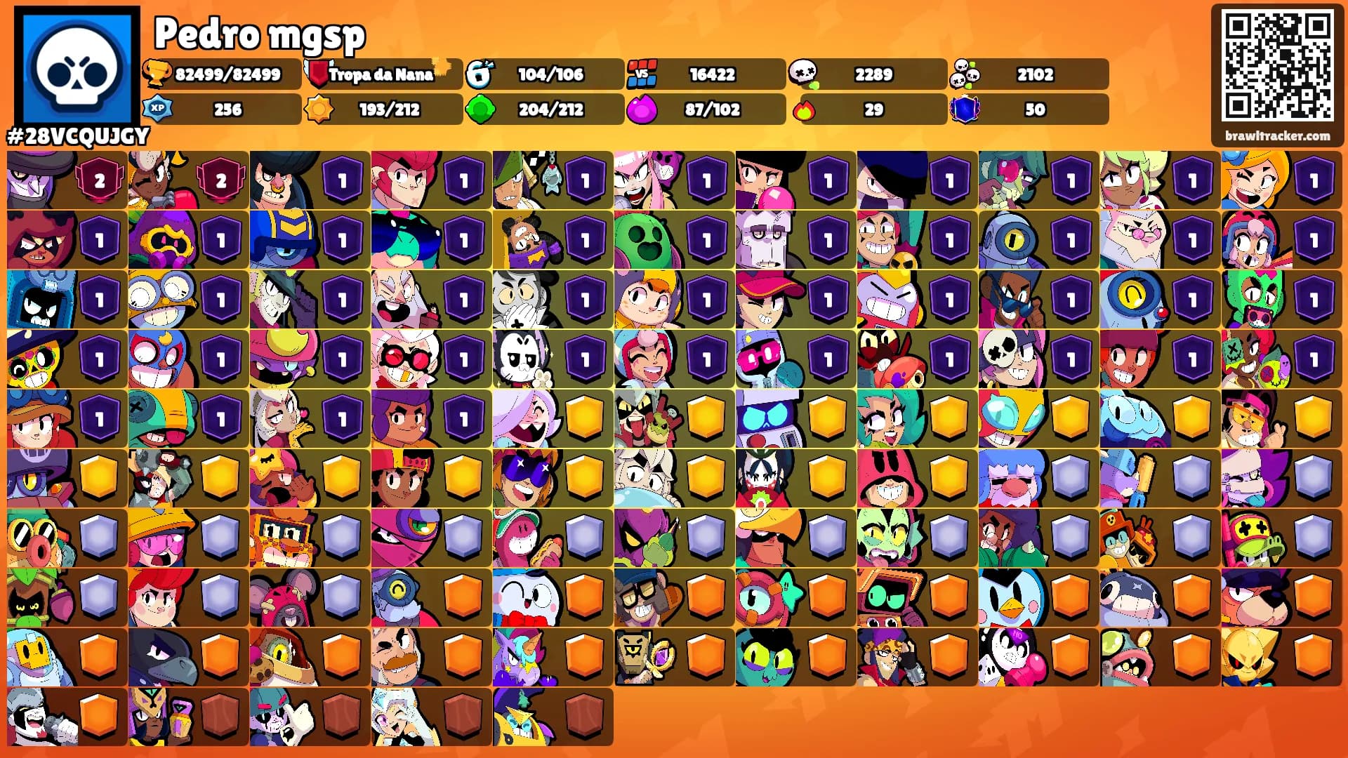 Pedro mgsp's Ranks