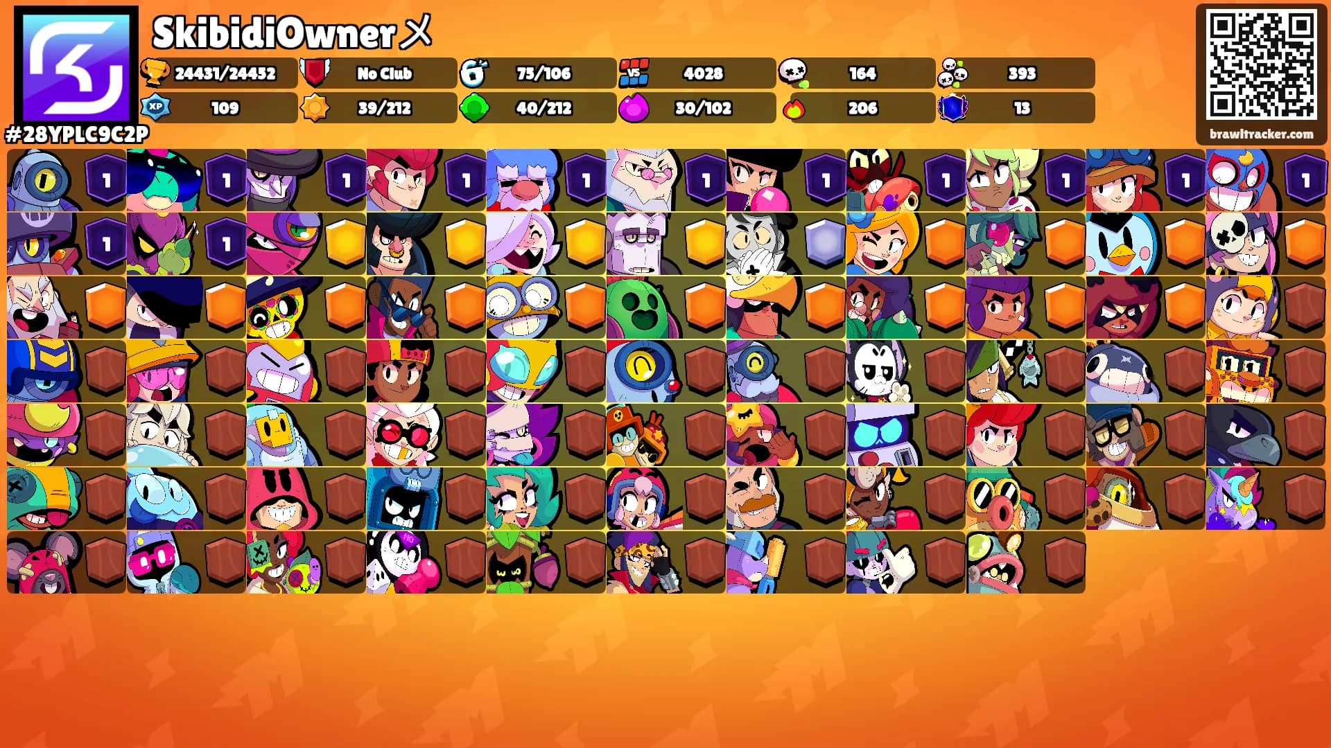 SkibidiOwnerメ's Ranks