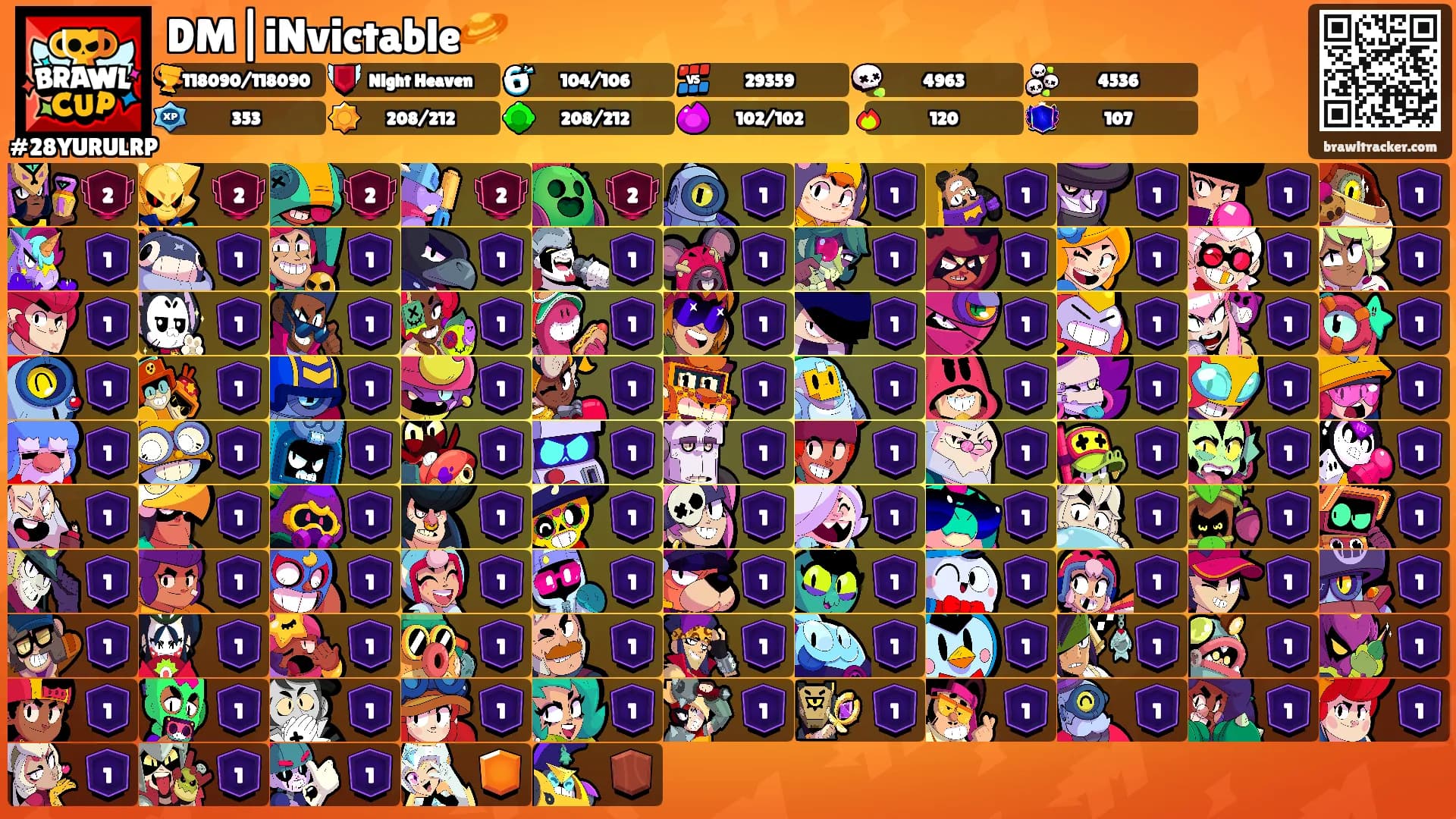 DM|iNvictable🪐's Ranks