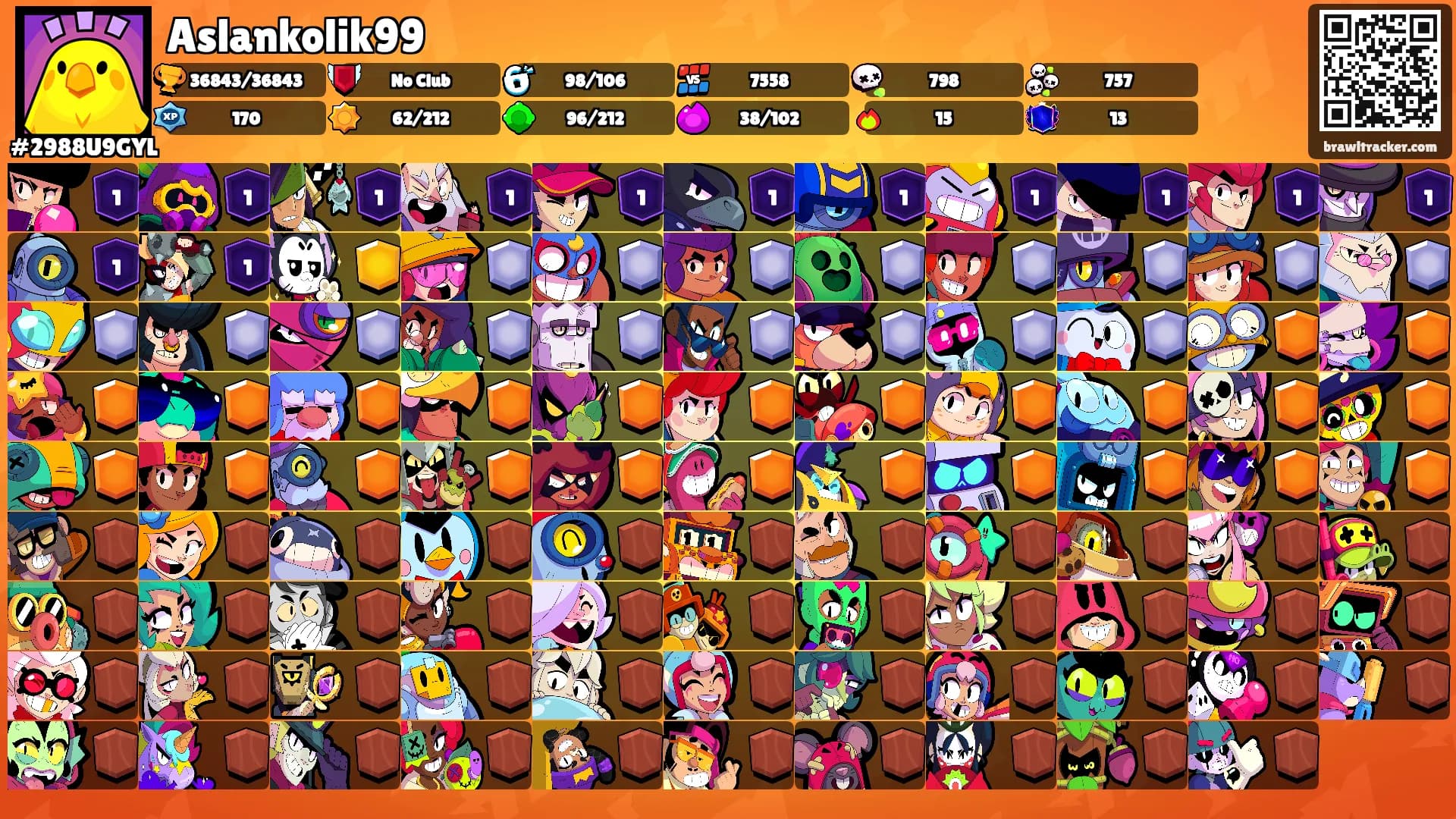 Aslankolik99's Ranks