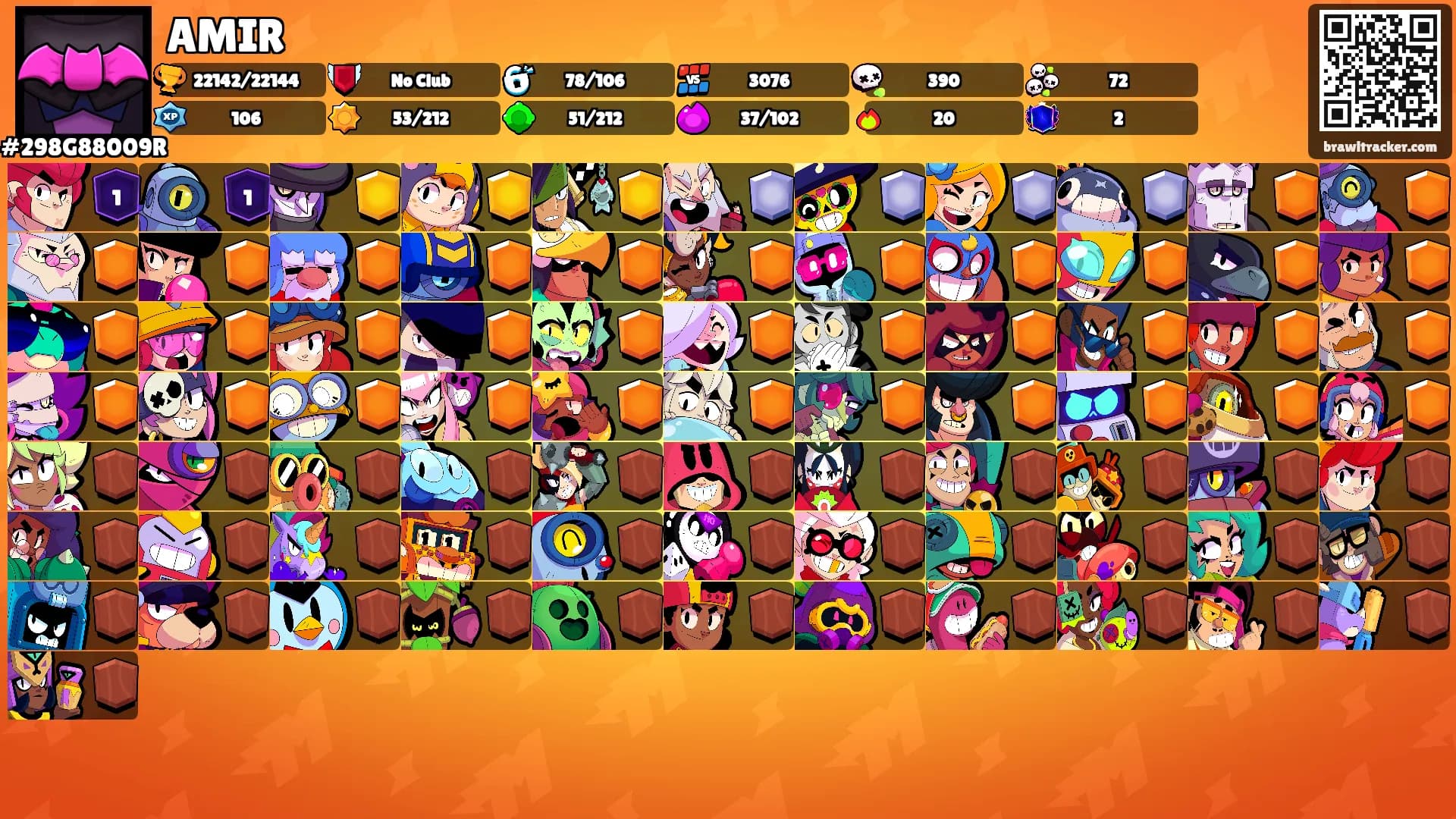 AMIR's Ranks