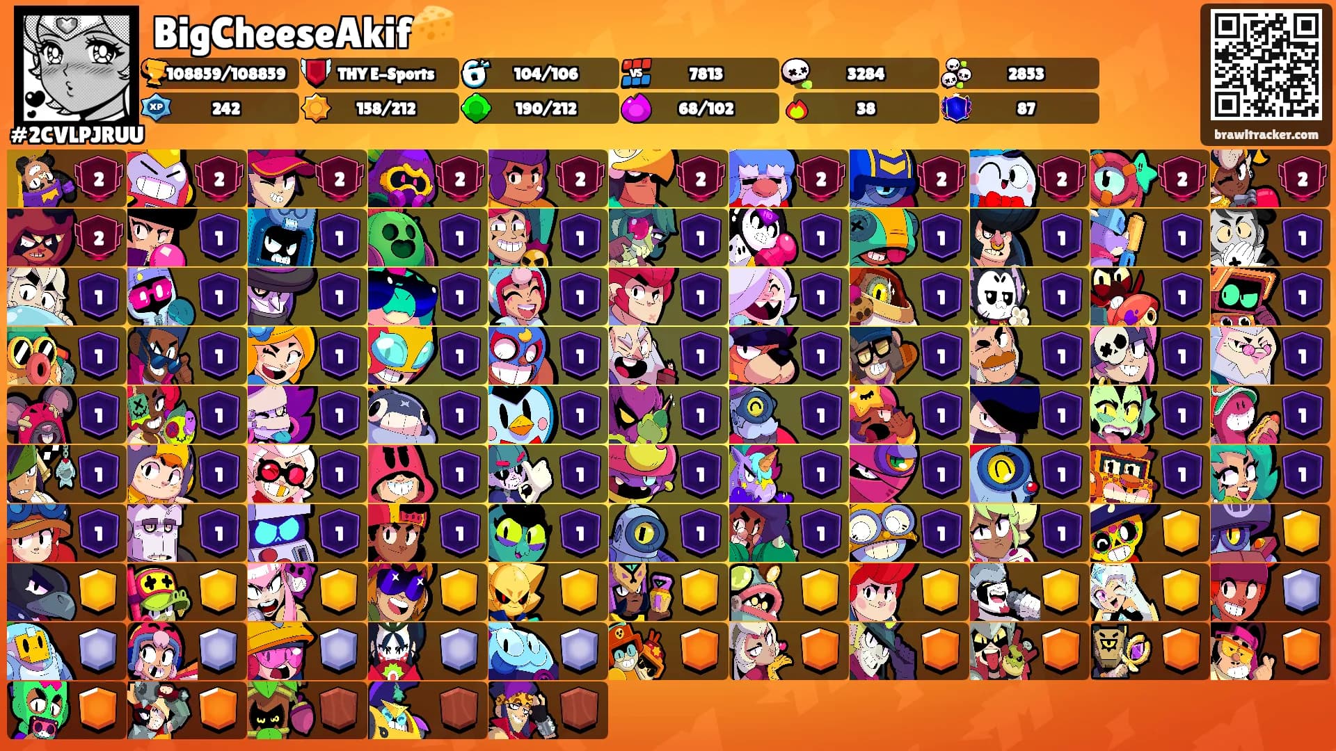 BigCheeseAkif🧀's Ranks