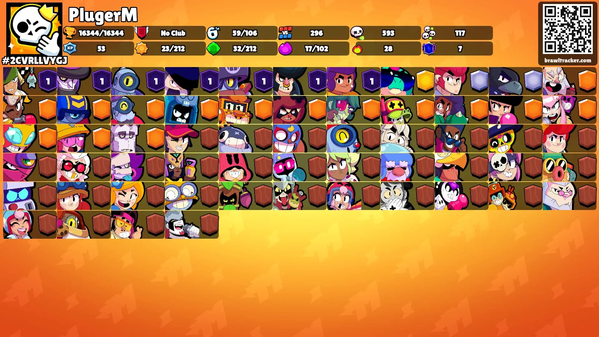 PlugerM's Ranks