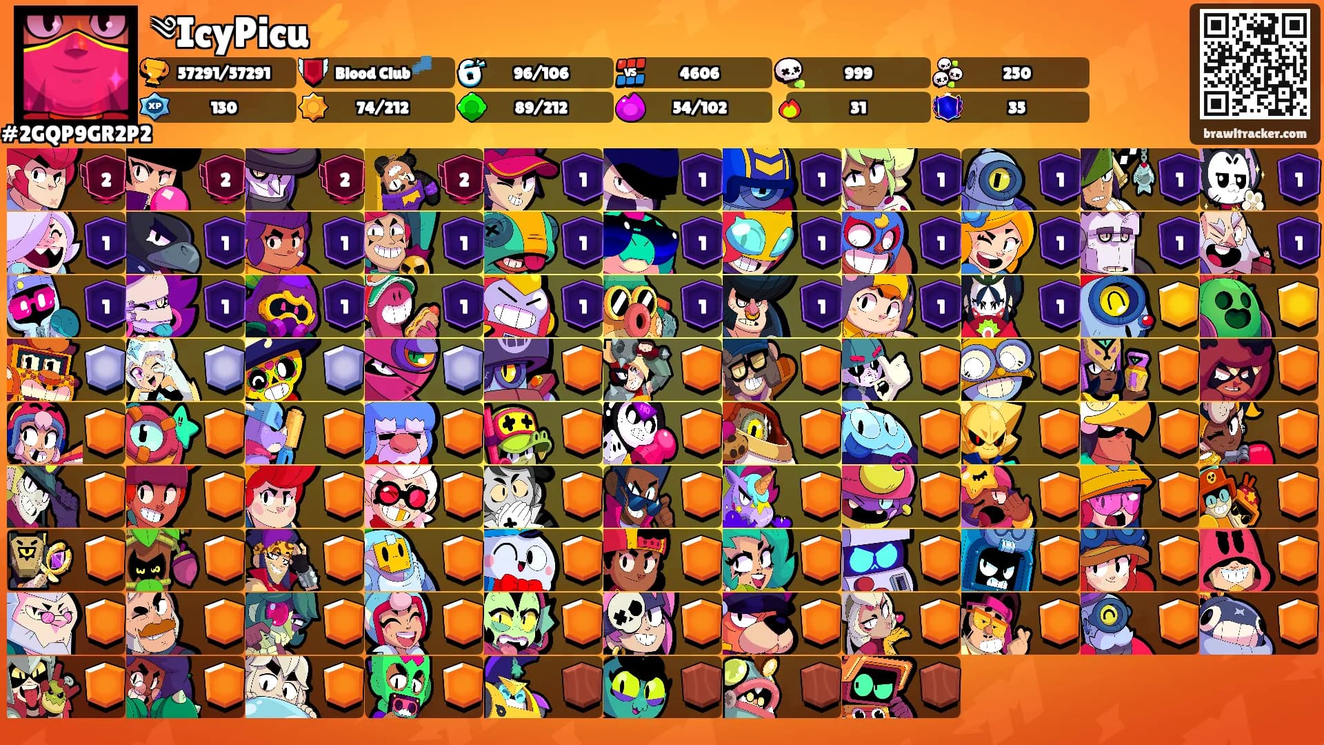 ༄IcyPicu⚡️'s Ranks