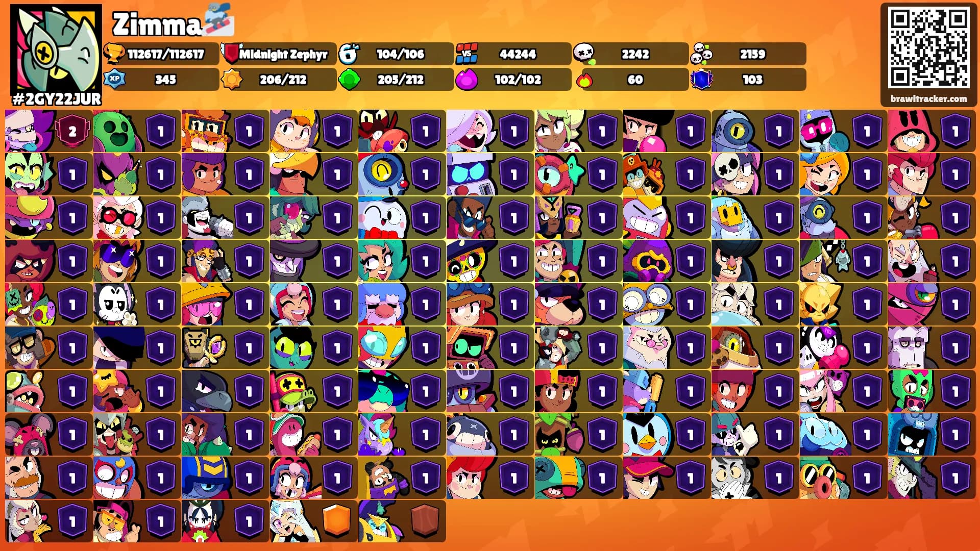 Zimma🏂's Ranks