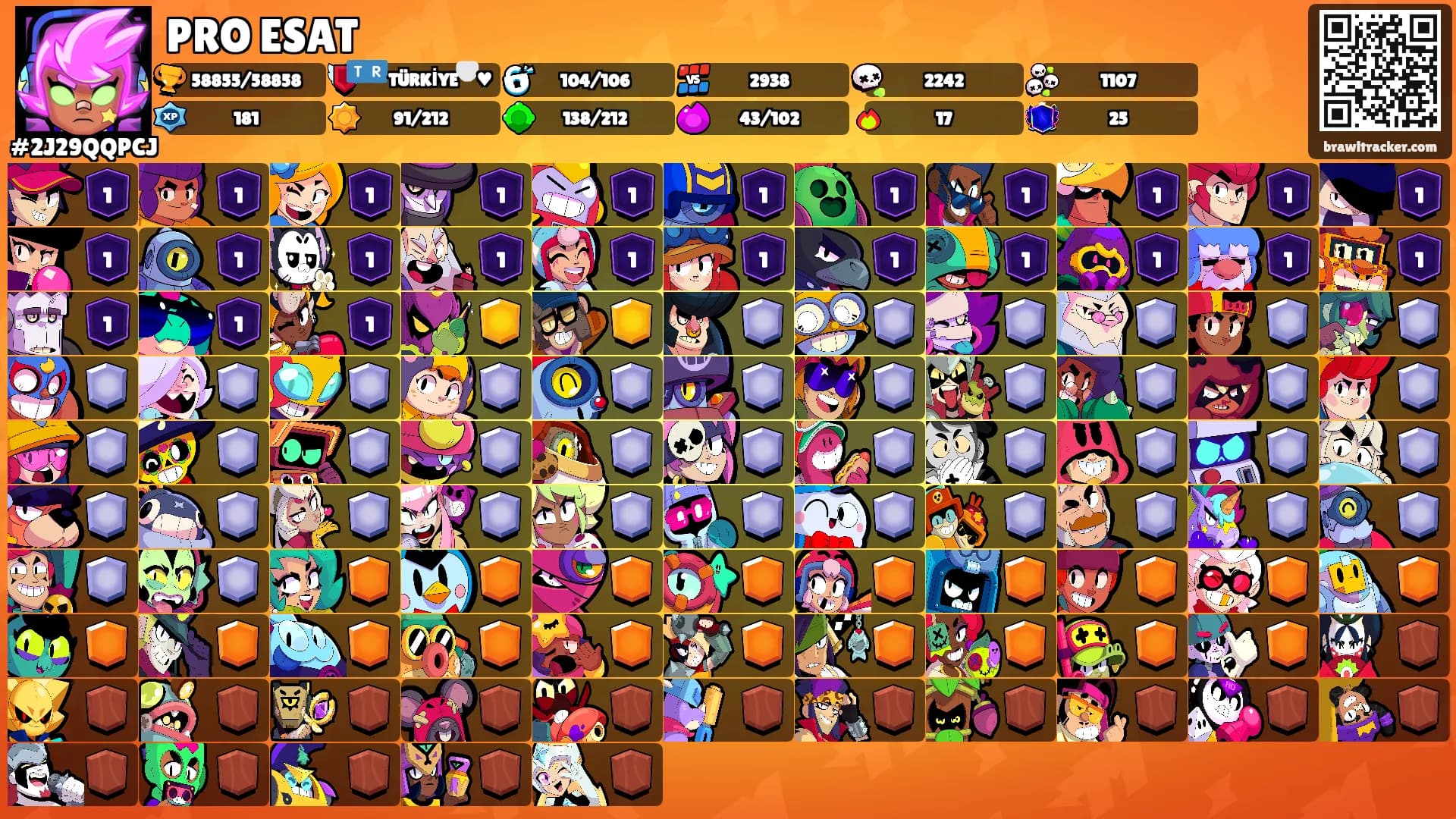 PRO ESAT's Ranks