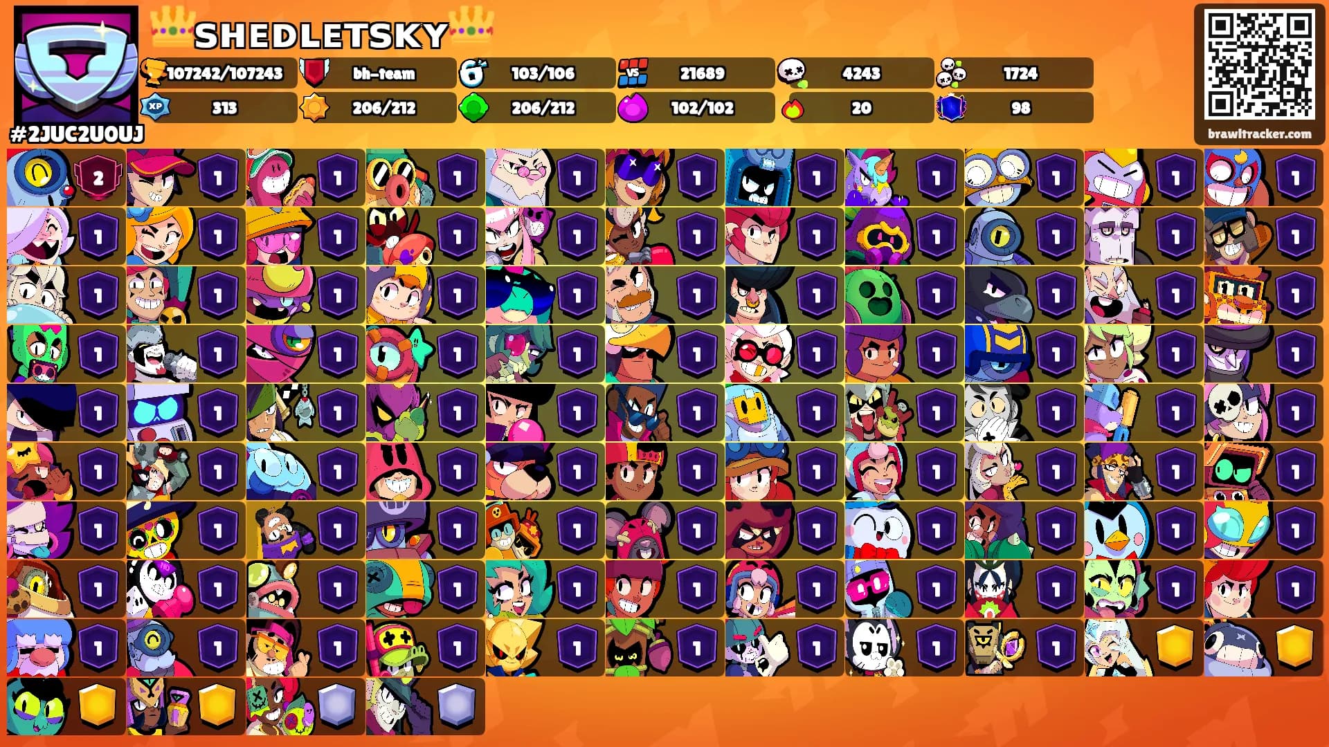 👑ꜱʜᴇᴅʟᴇᴛꜱᴋʏ👑's Ranks