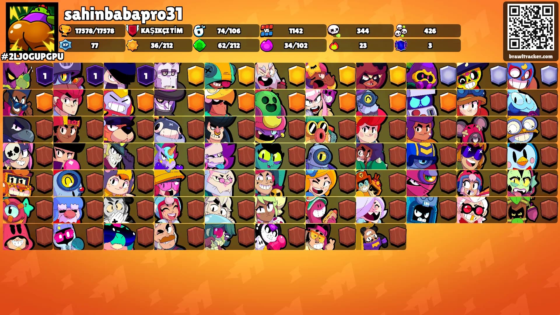 sahinbabapro31's Ranks