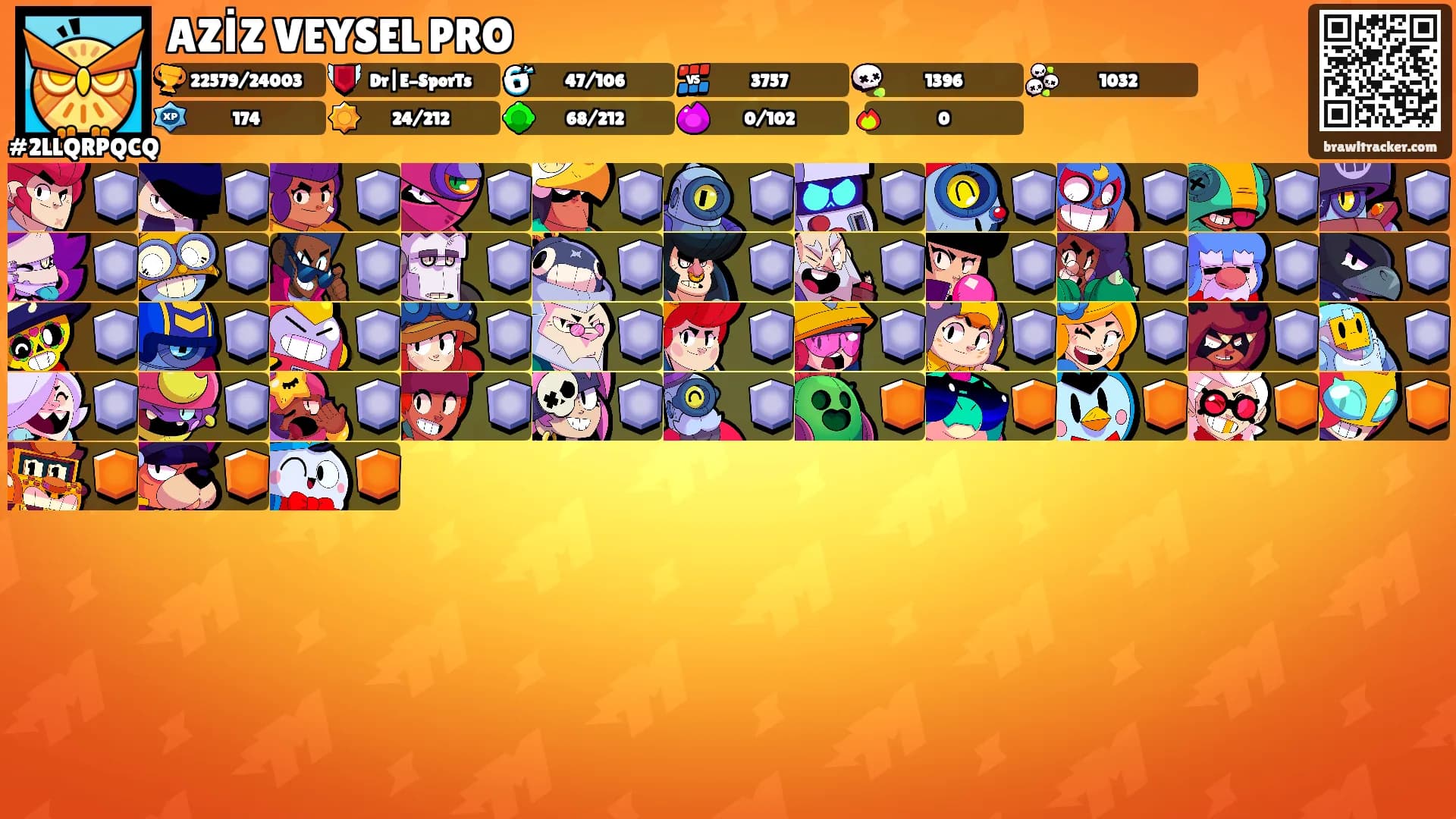 AZİZ VEYSEL PRO's Ranks