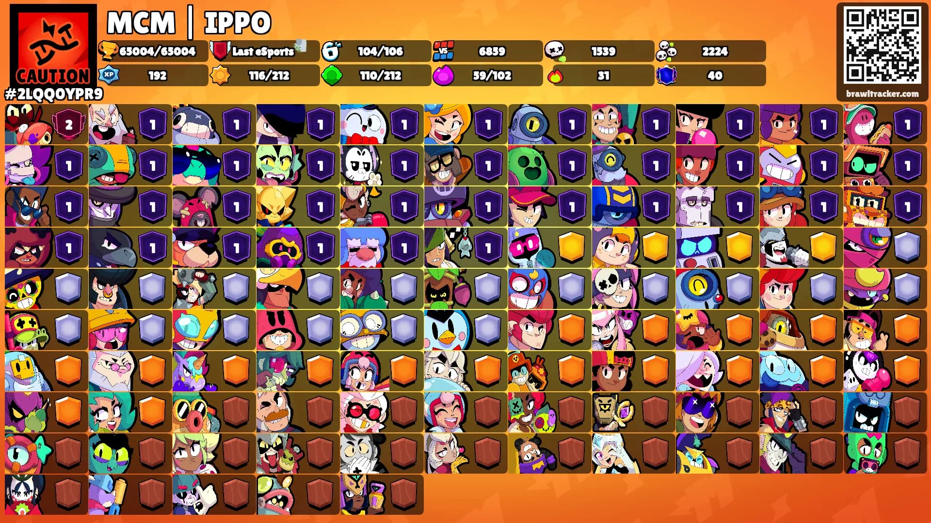 MCM | IPPO's Ranks