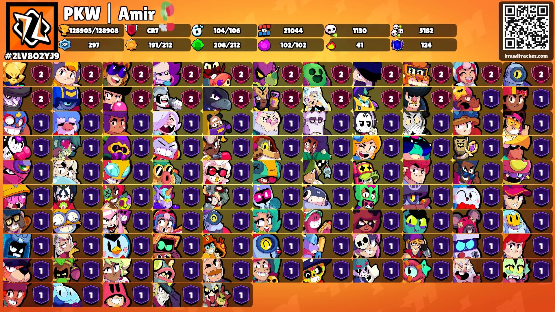 PKW | Amir 🥀's Ranks
