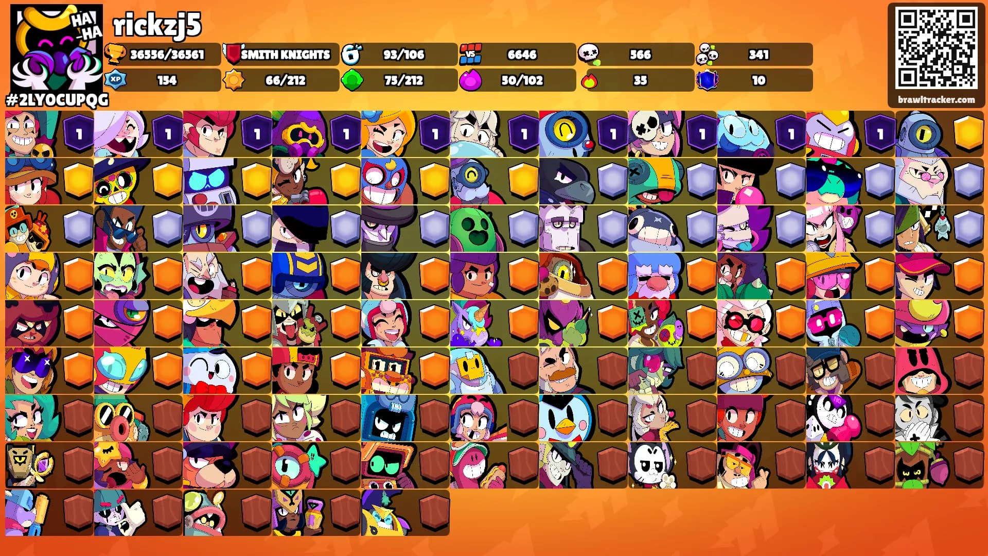 rickzj5's Ranks