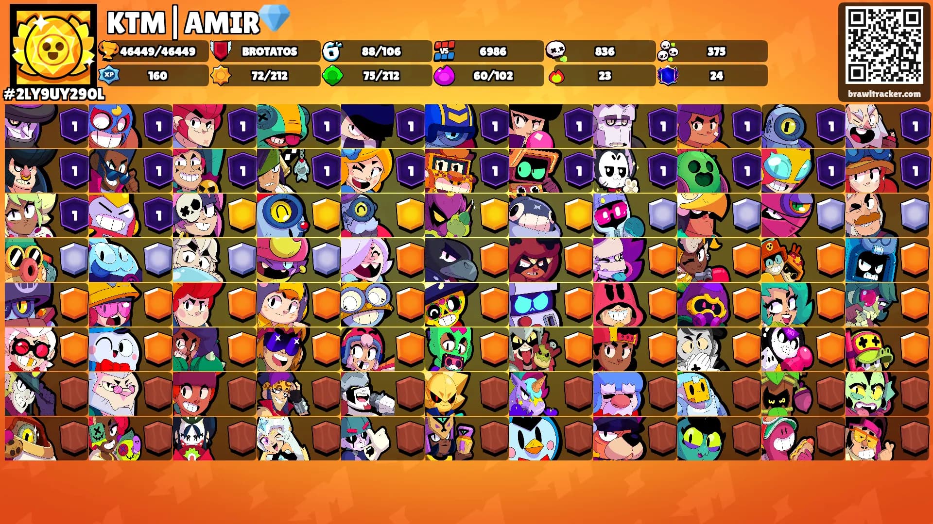KTM|AMIR💎's Ranks
