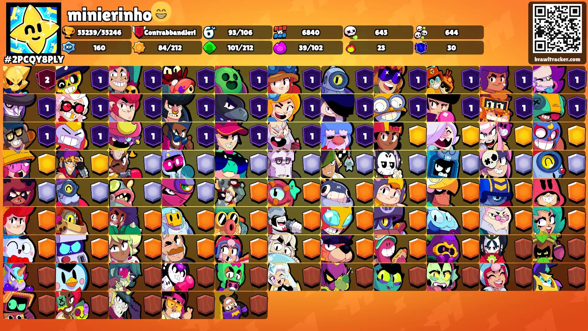 minierinho😁's Ranks