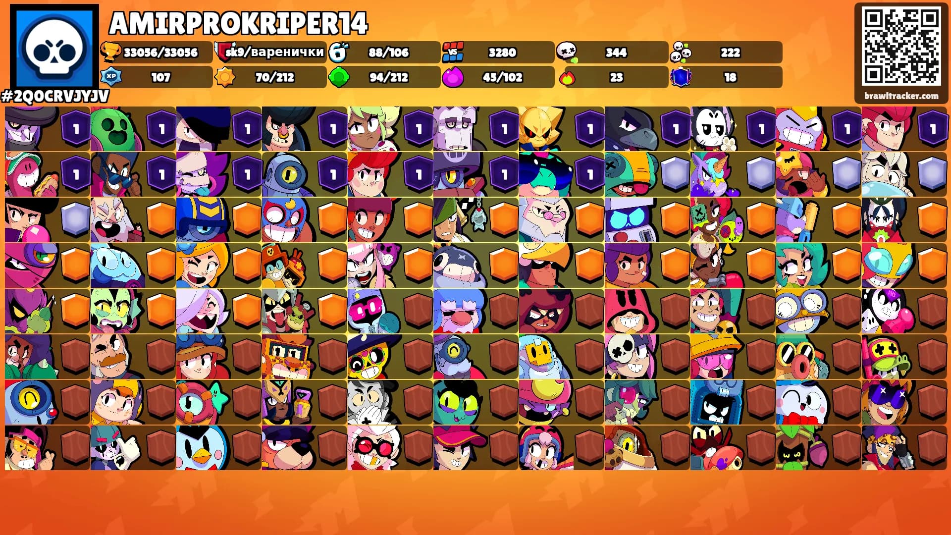 AMIRPROKRIPER14's Ranks