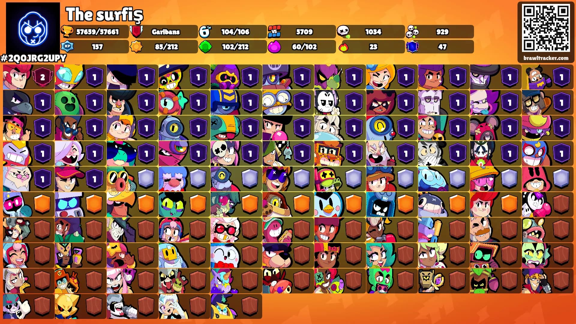 The surfiş's Ranks