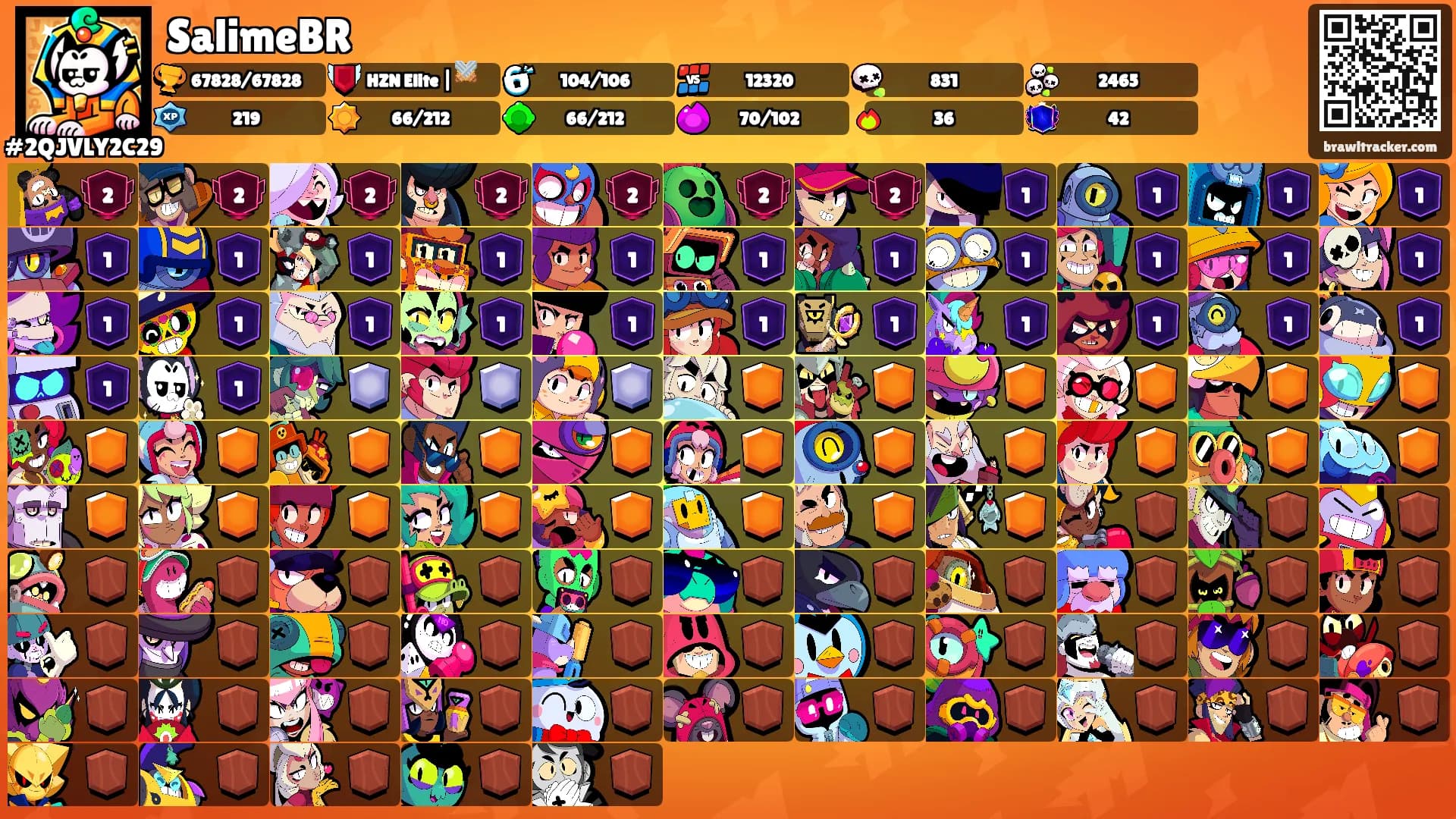 SalimeBR's Ranks