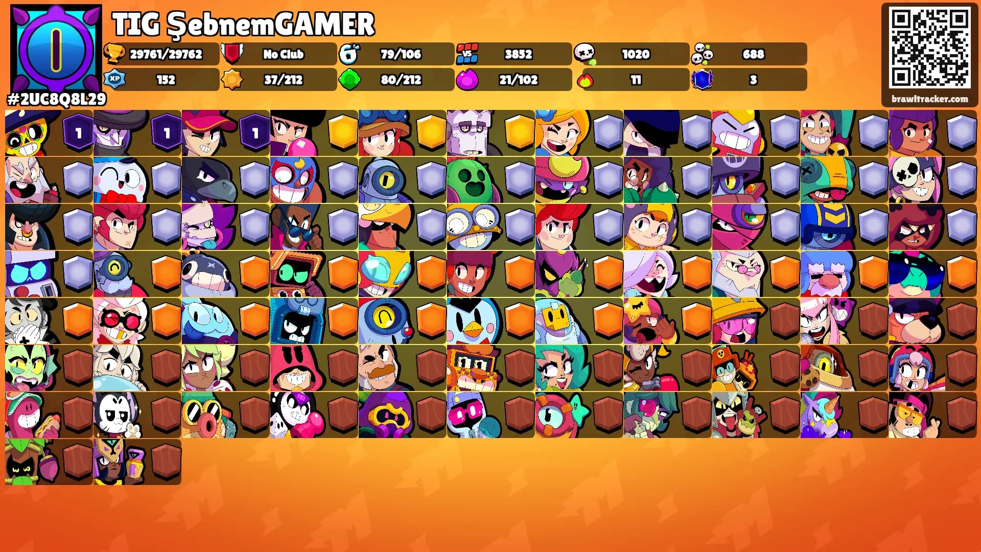 TIG ŞebnemGAMER's Ranks