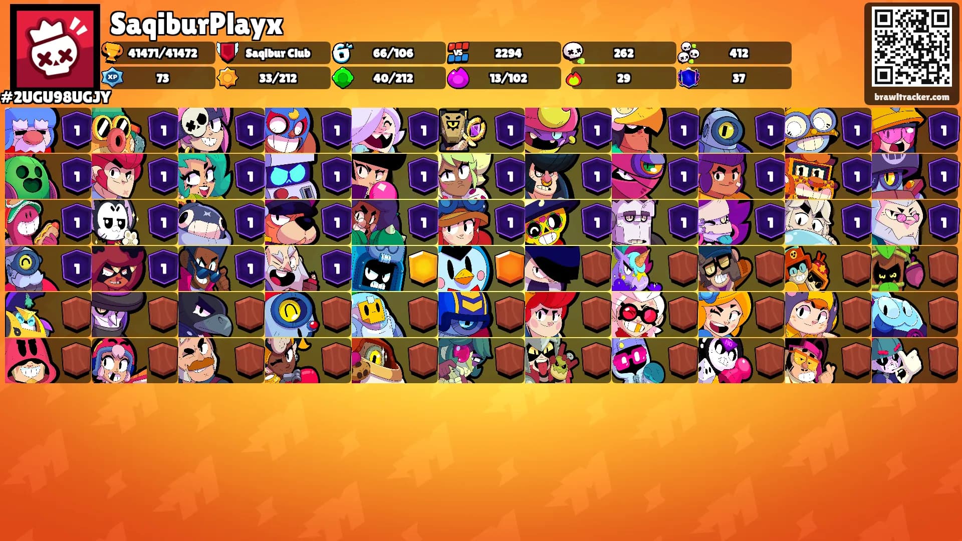 SaqiburPlayx's Ranks