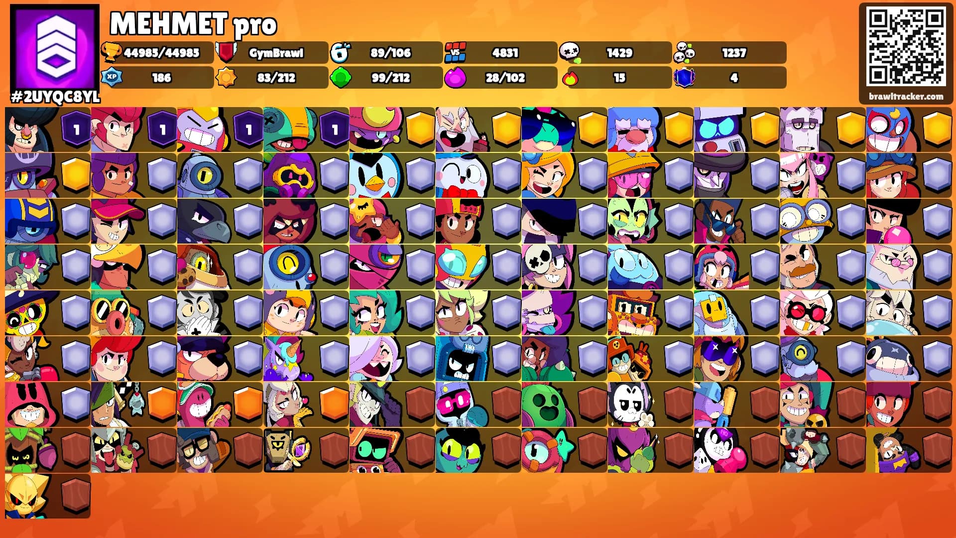 MEHMET pro's Ranks