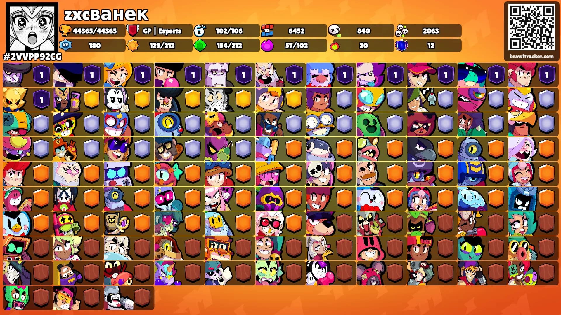 zxcванек's Ranks