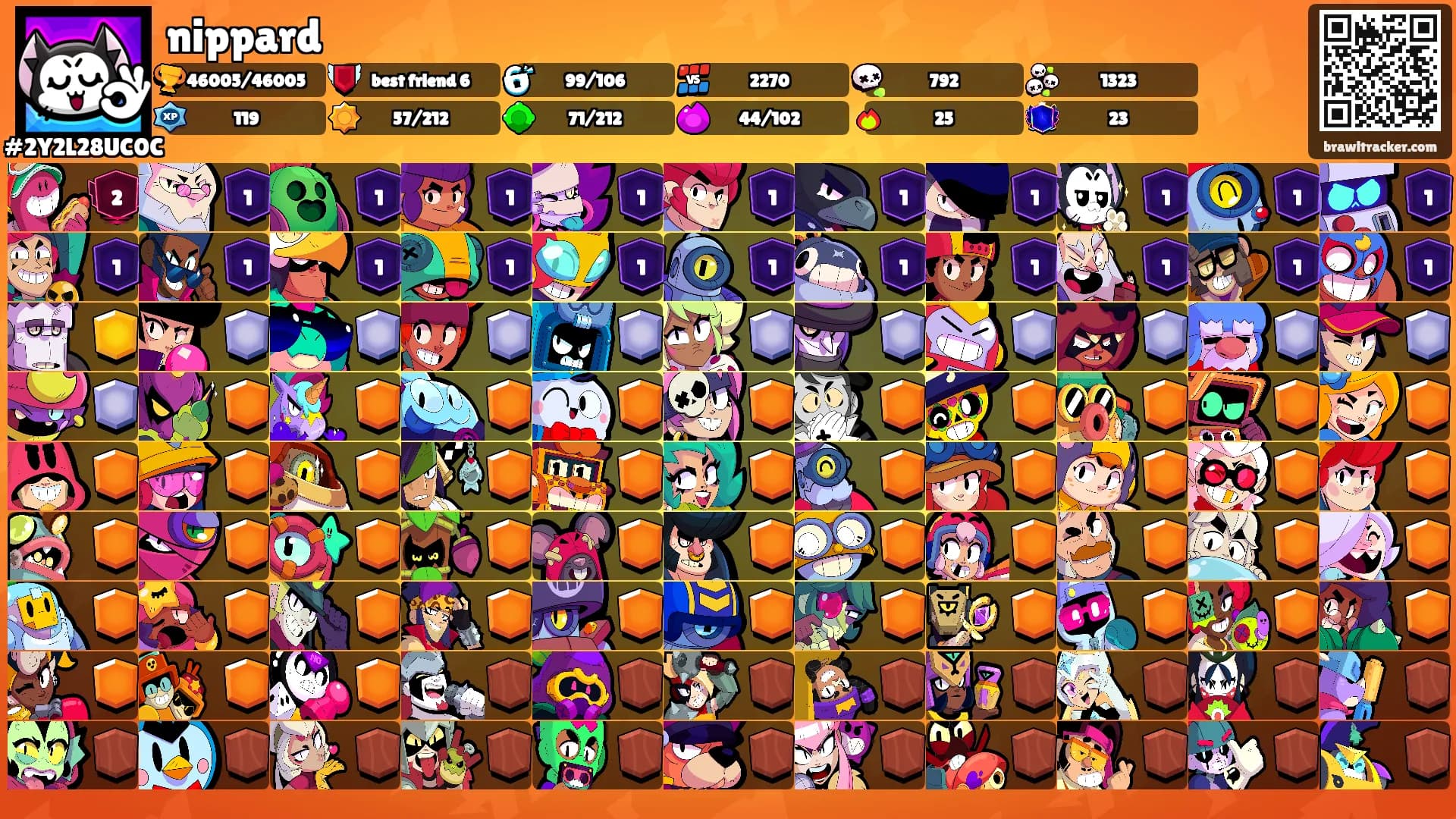 nippard's Ranks