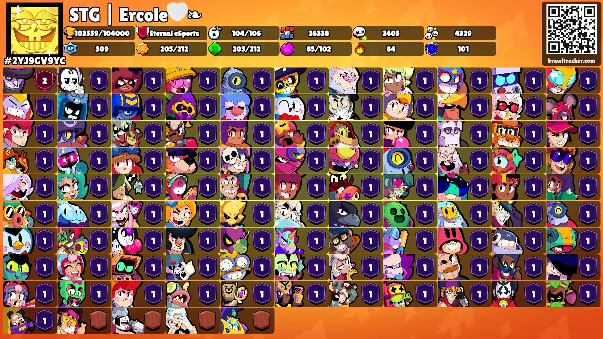 STG | Ercole🤍❧'s Ranks