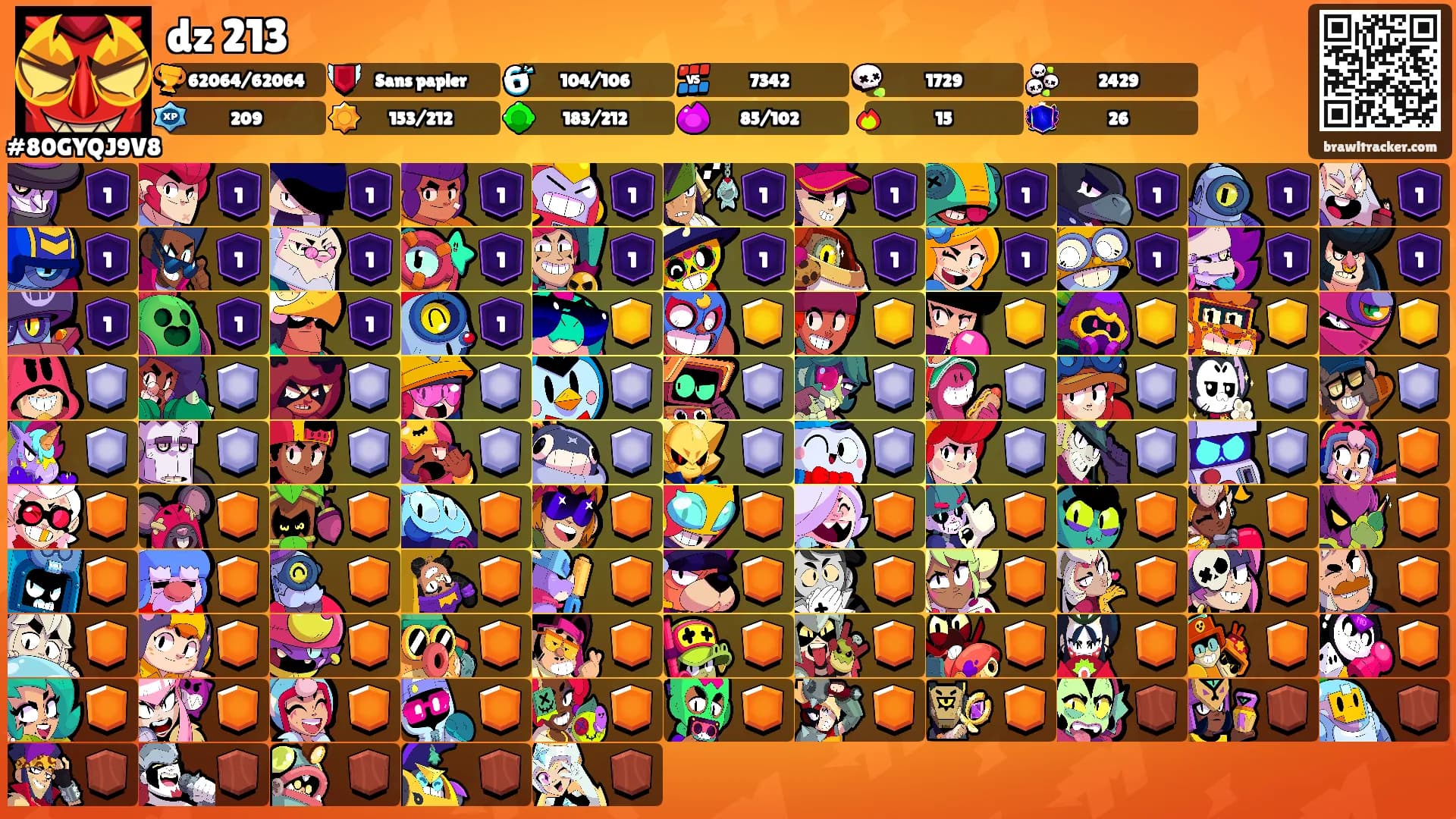 dz 213's Ranks