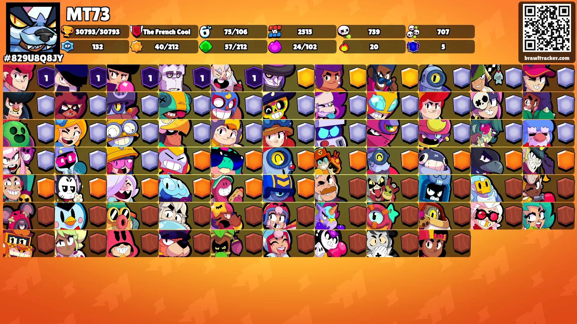 MT73's Ranks