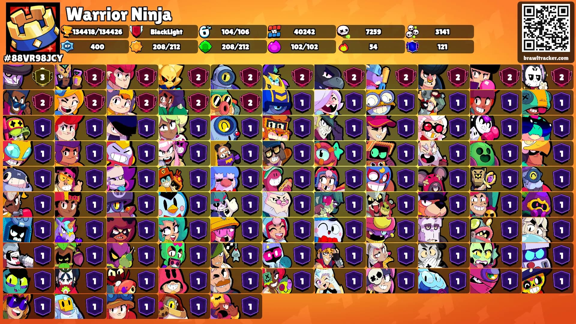 Warrior Ninja's Ranks