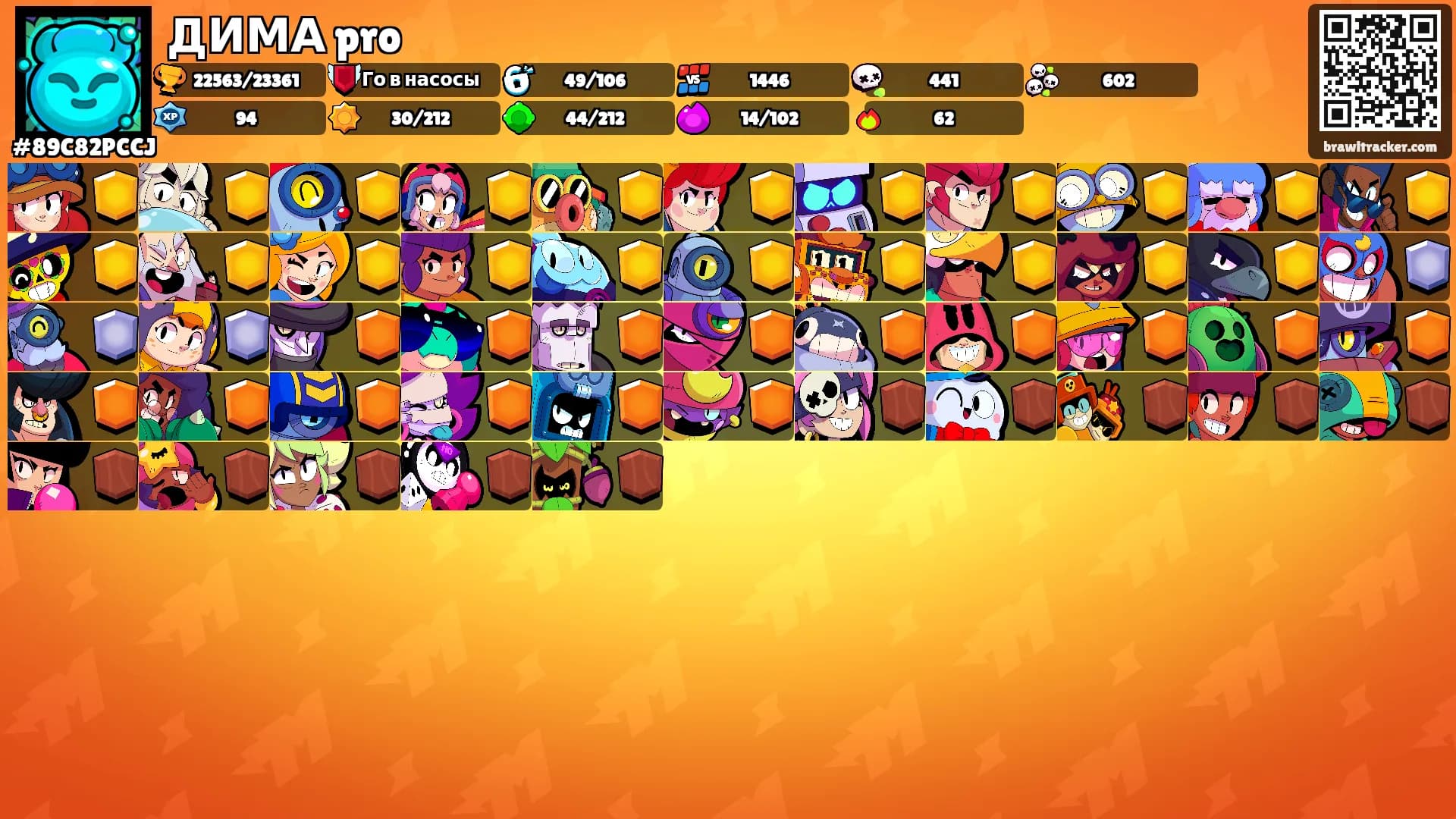 ДИМА pro's Ranks