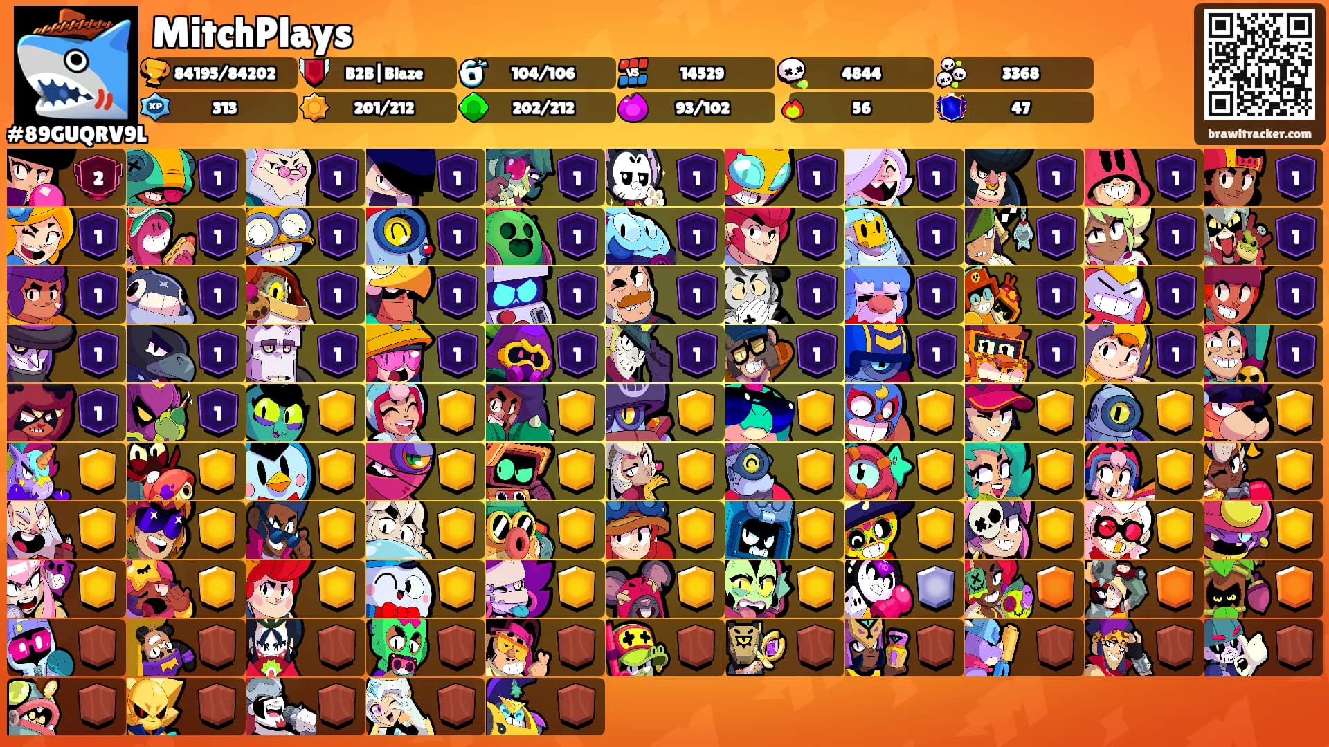 MitchPlays's Ranks