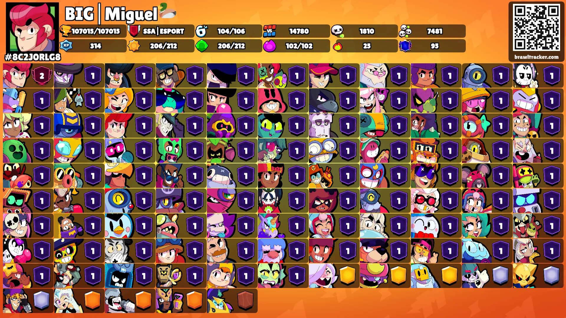 BIG│Miguel🦆's Ranks