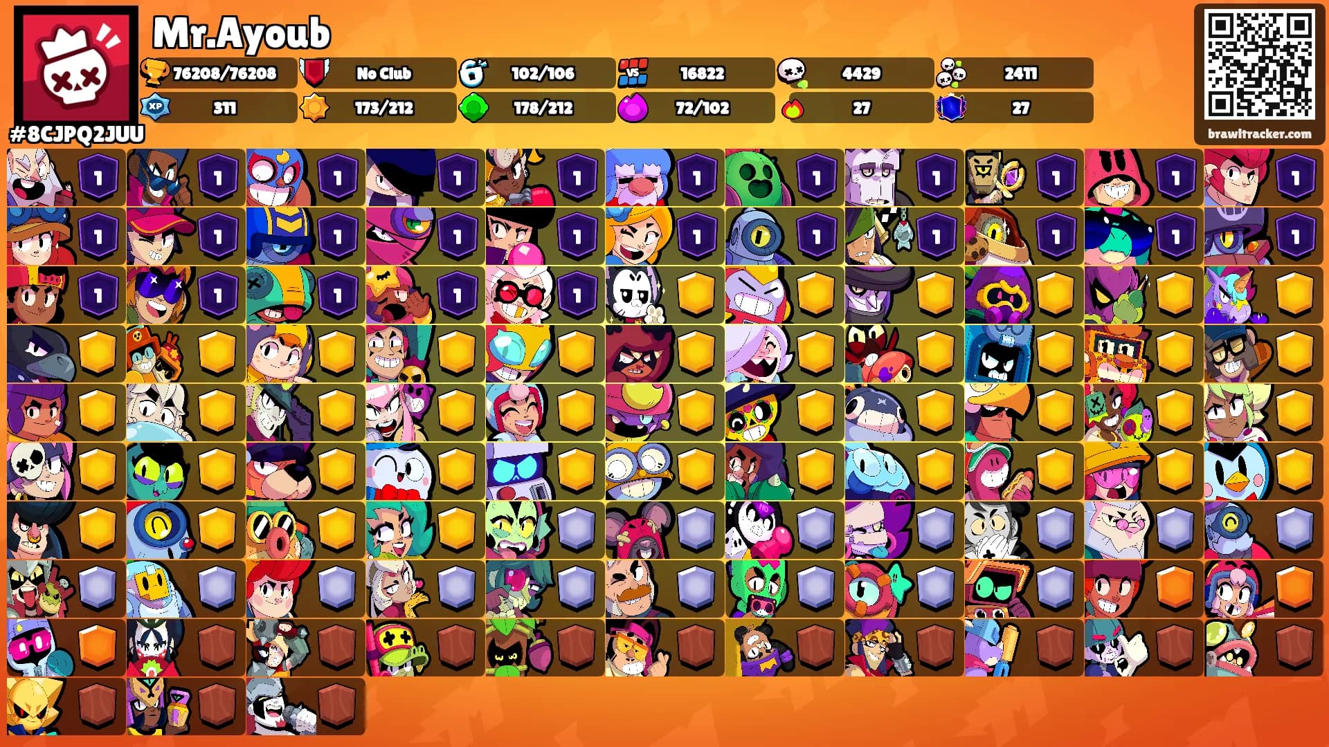 Mr.Ayoub's Ranks