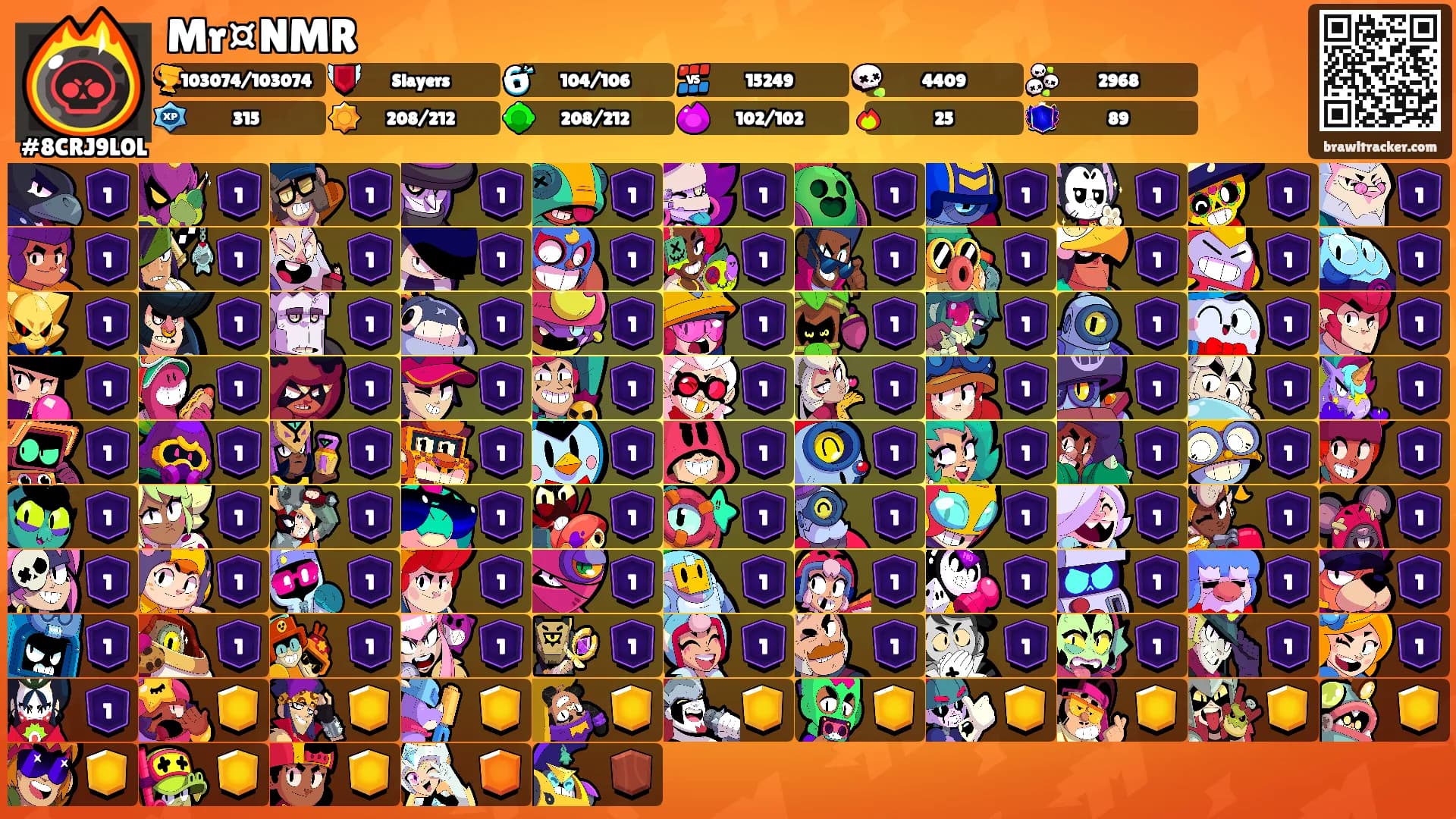 Mr¤NMR's Ranks