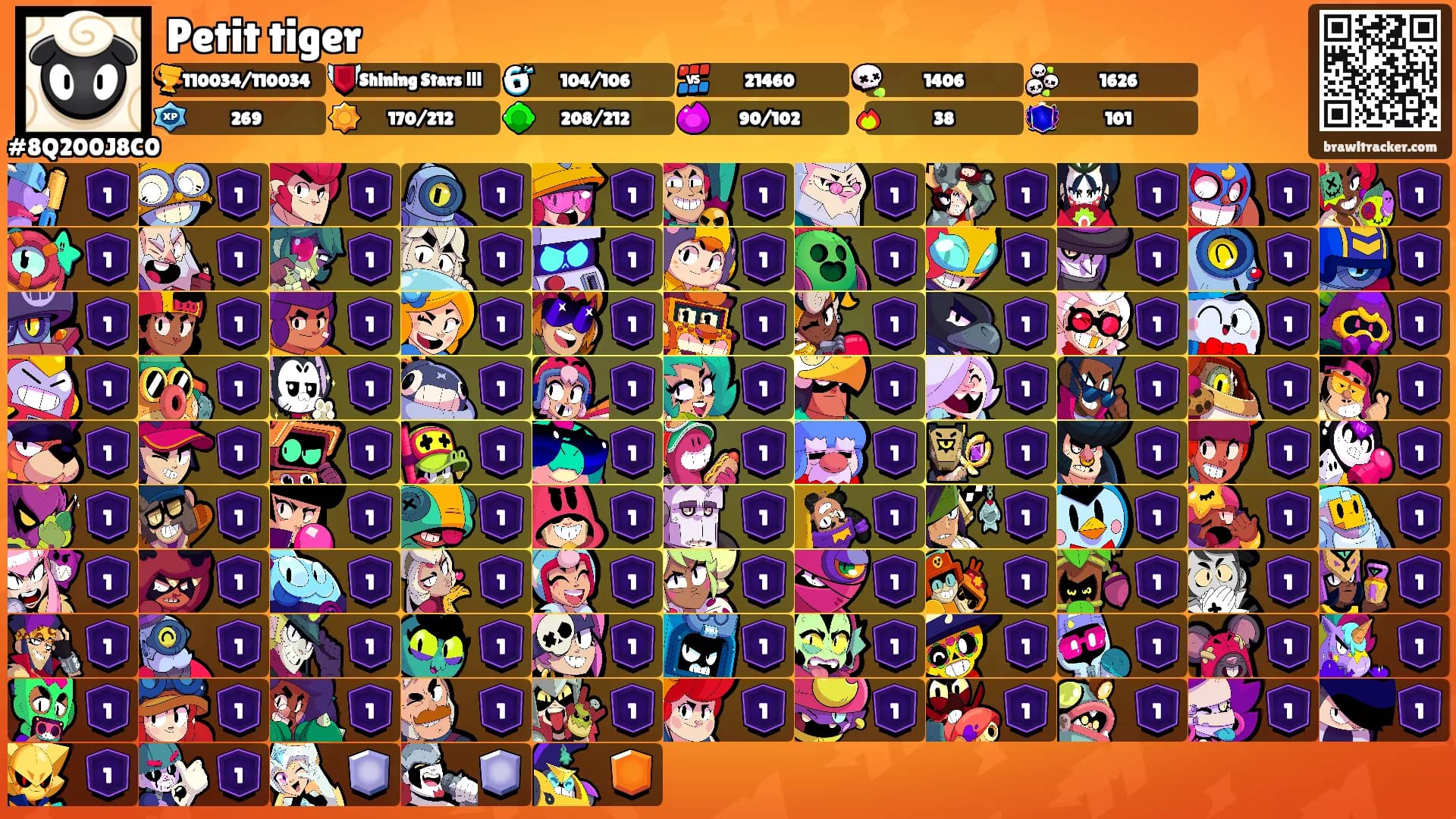 Petit tiger's Ranks