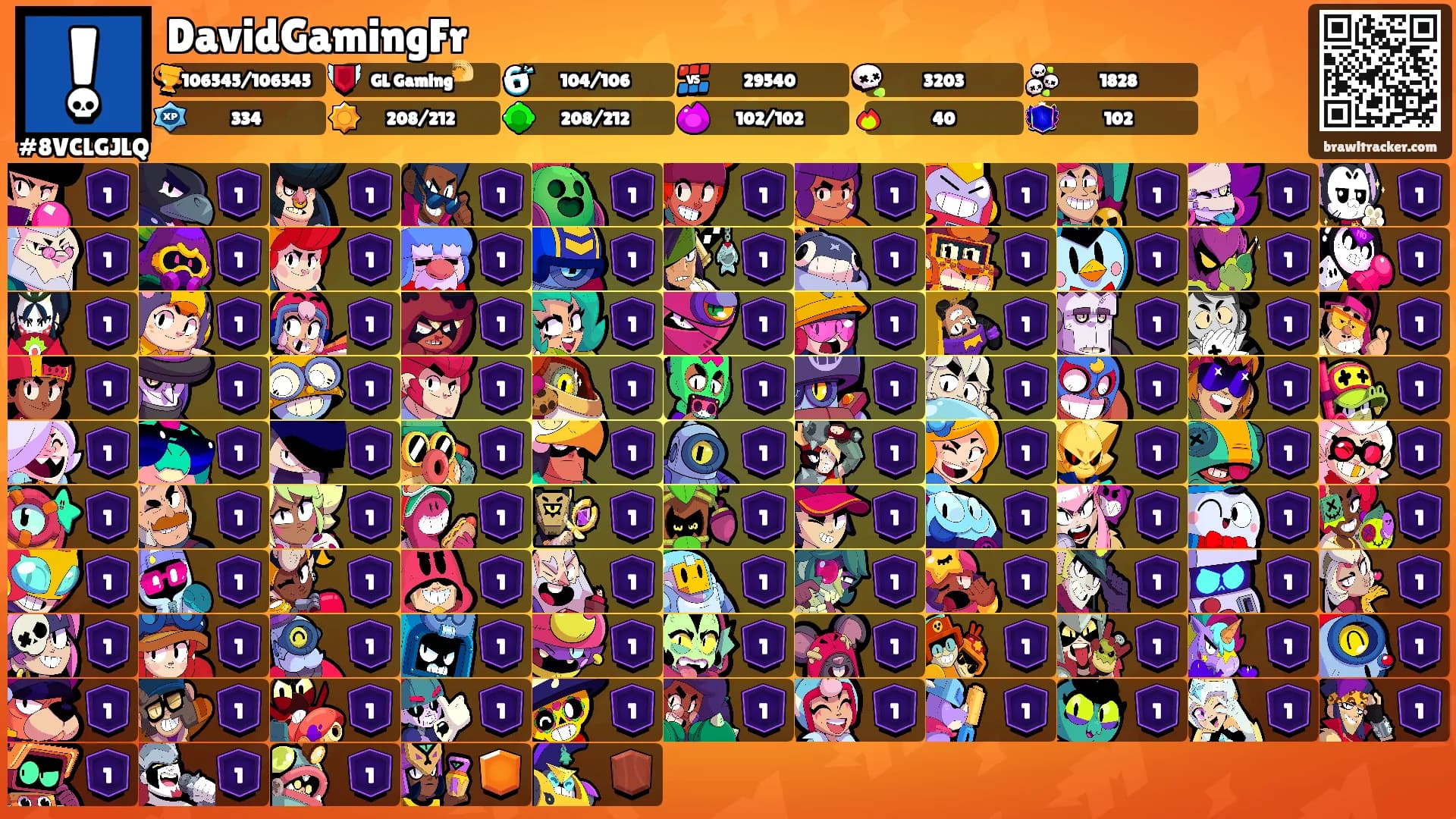 DavidGamingFr's Ranks