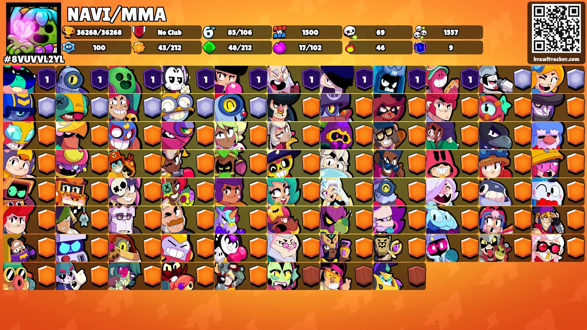 NAVI/MMA's Ranks