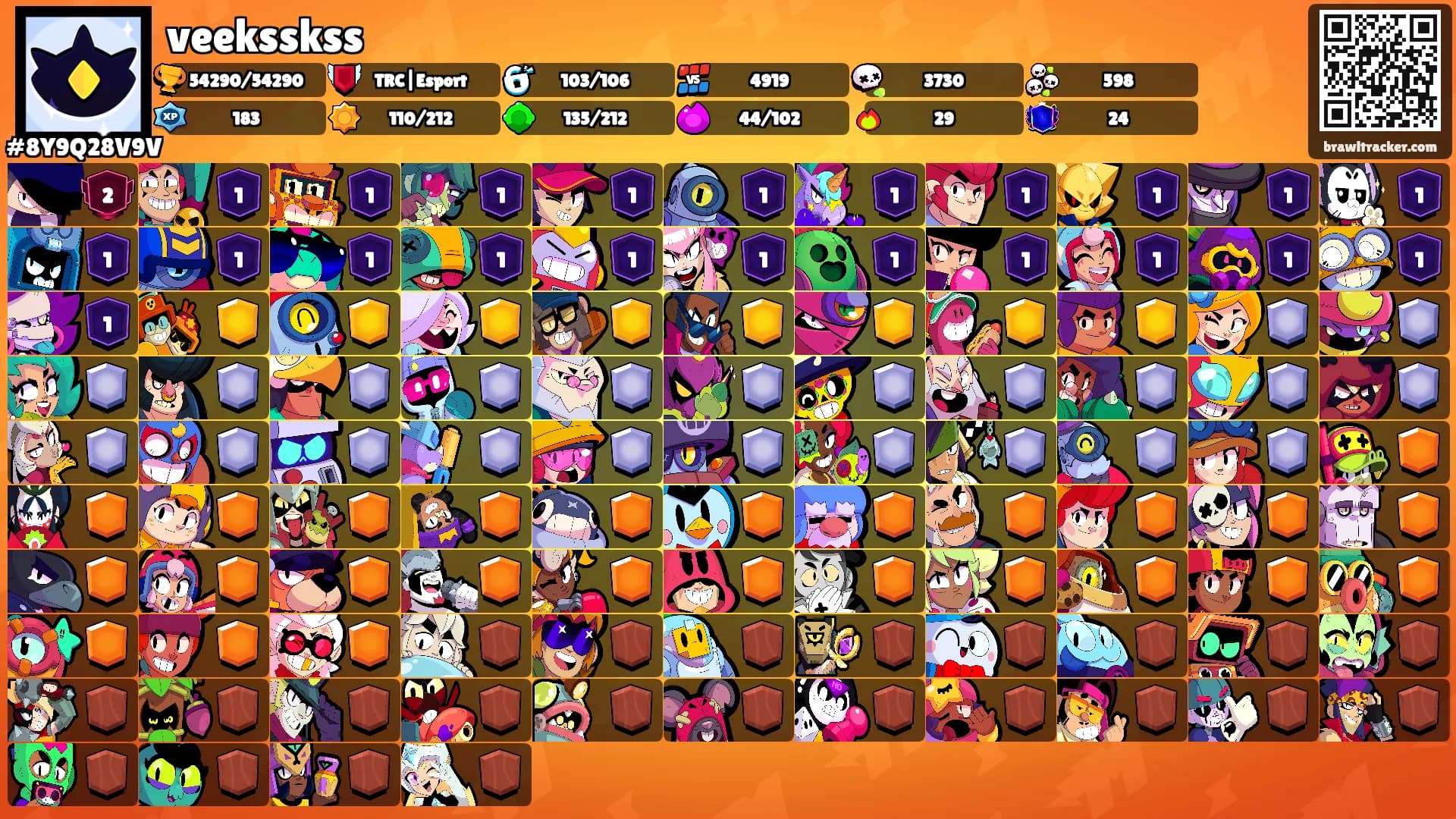 veeksskss's Ranks