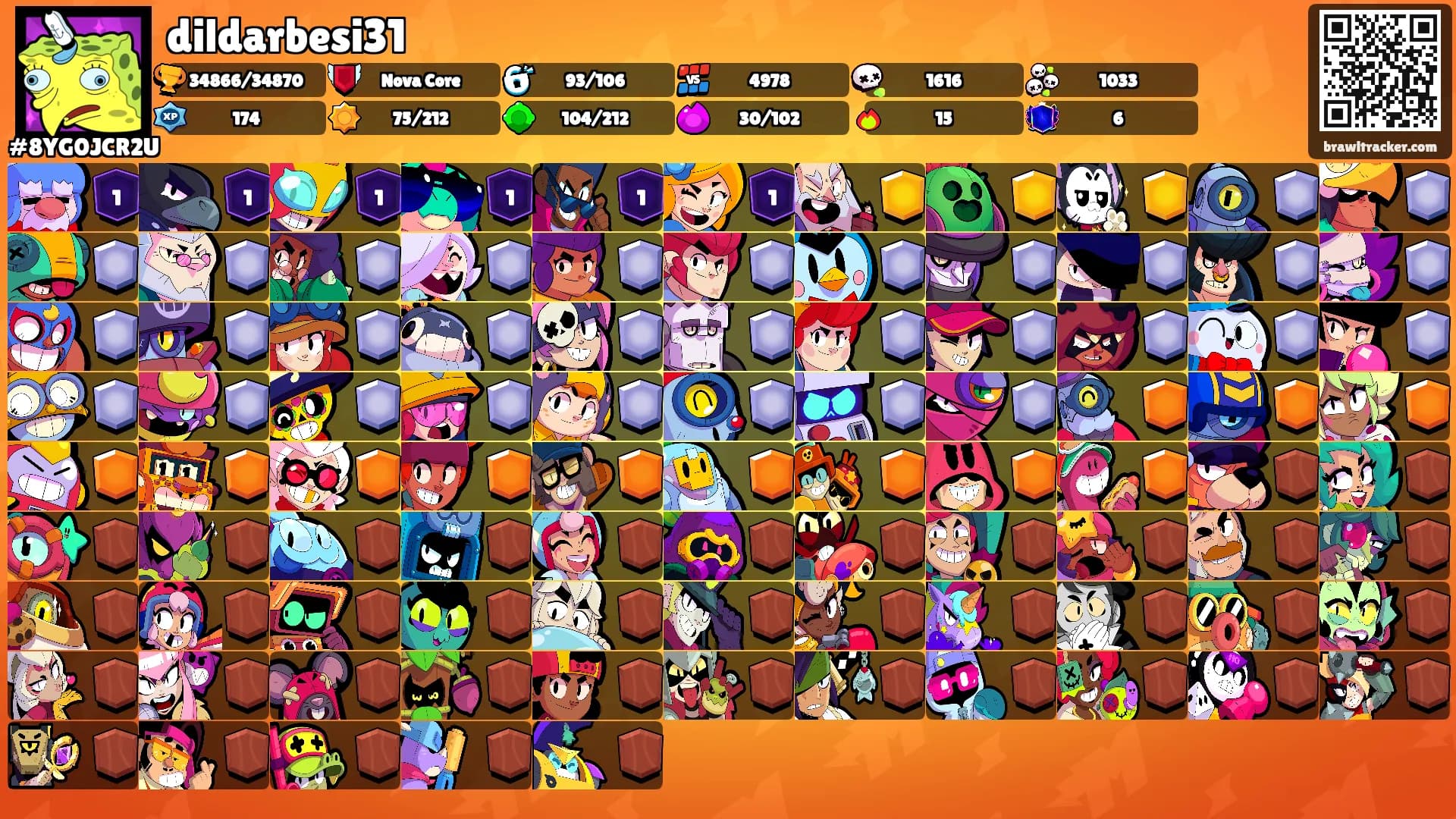 dildarbesi31's Ranks