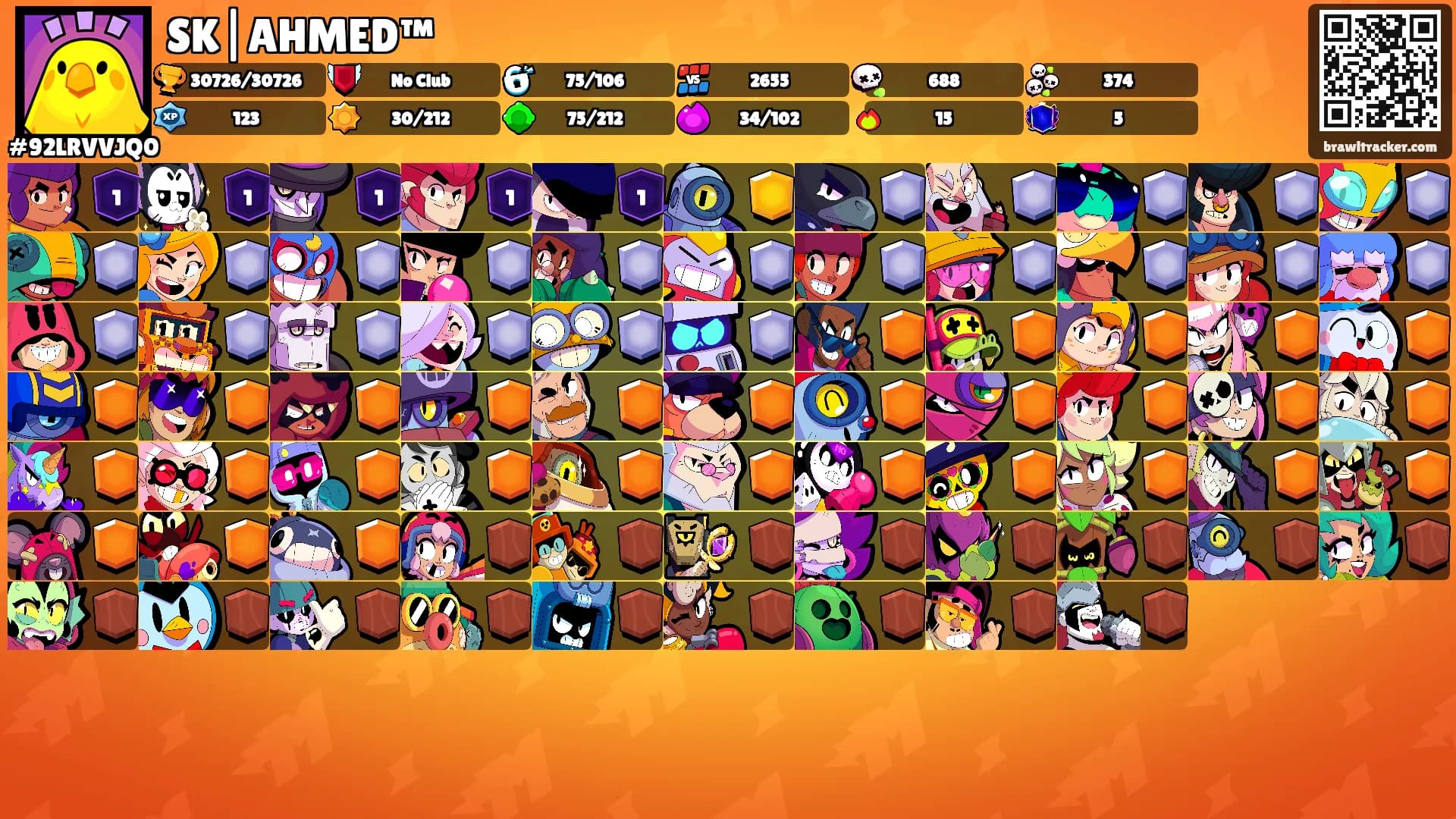 SK|AHMED™'s Ranks